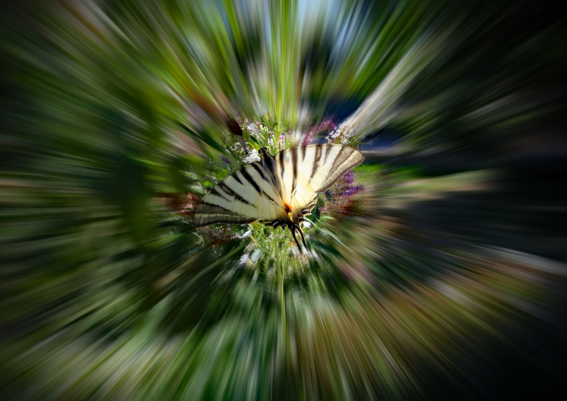 Doveva essere un close-up ambientato 1