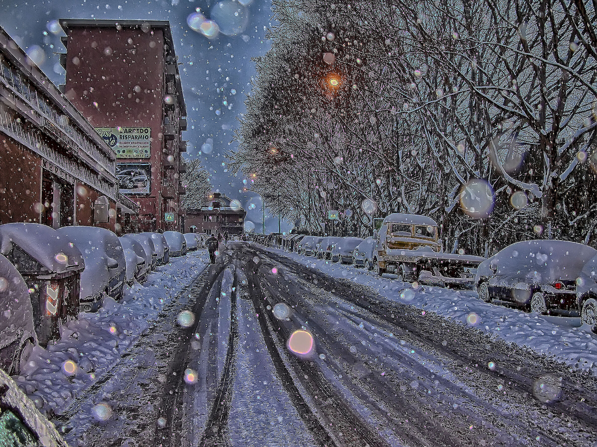 snow in the city