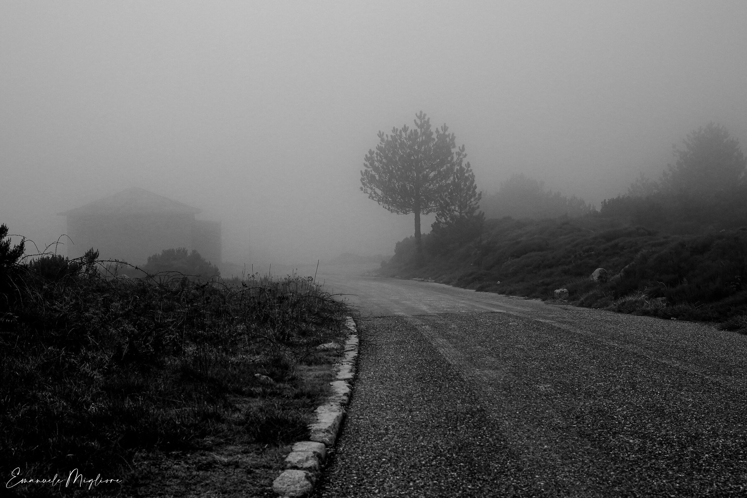 Tristezza e solitudine