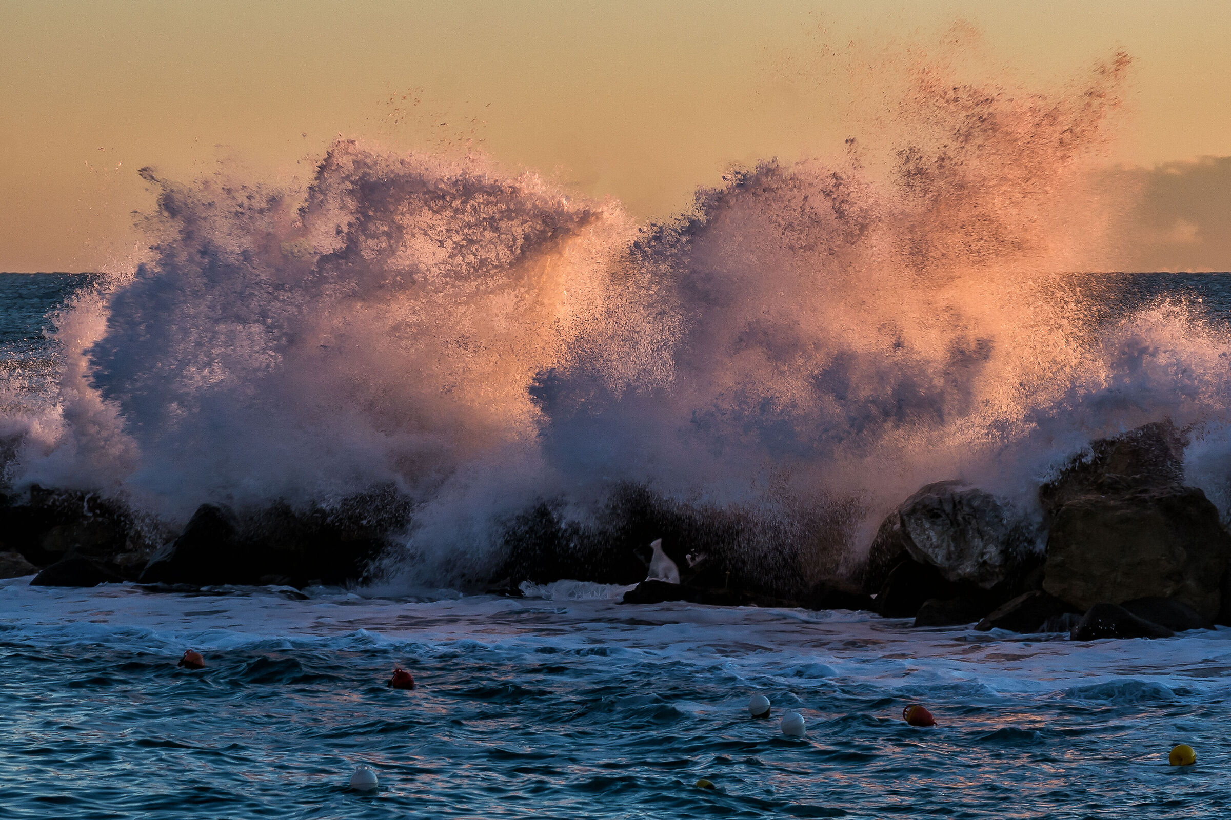 Spruzzi in controluce