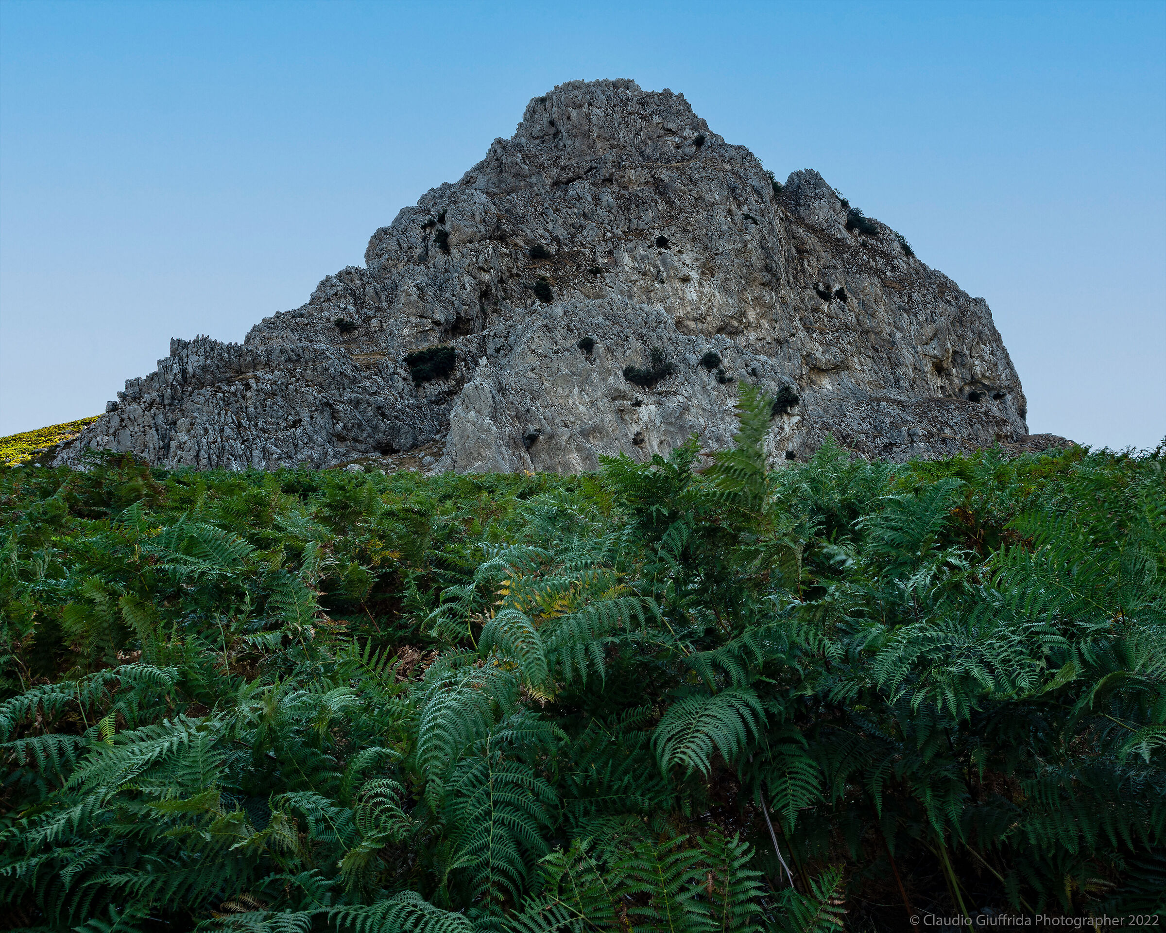 Rocca Novara ed il bosco di felci