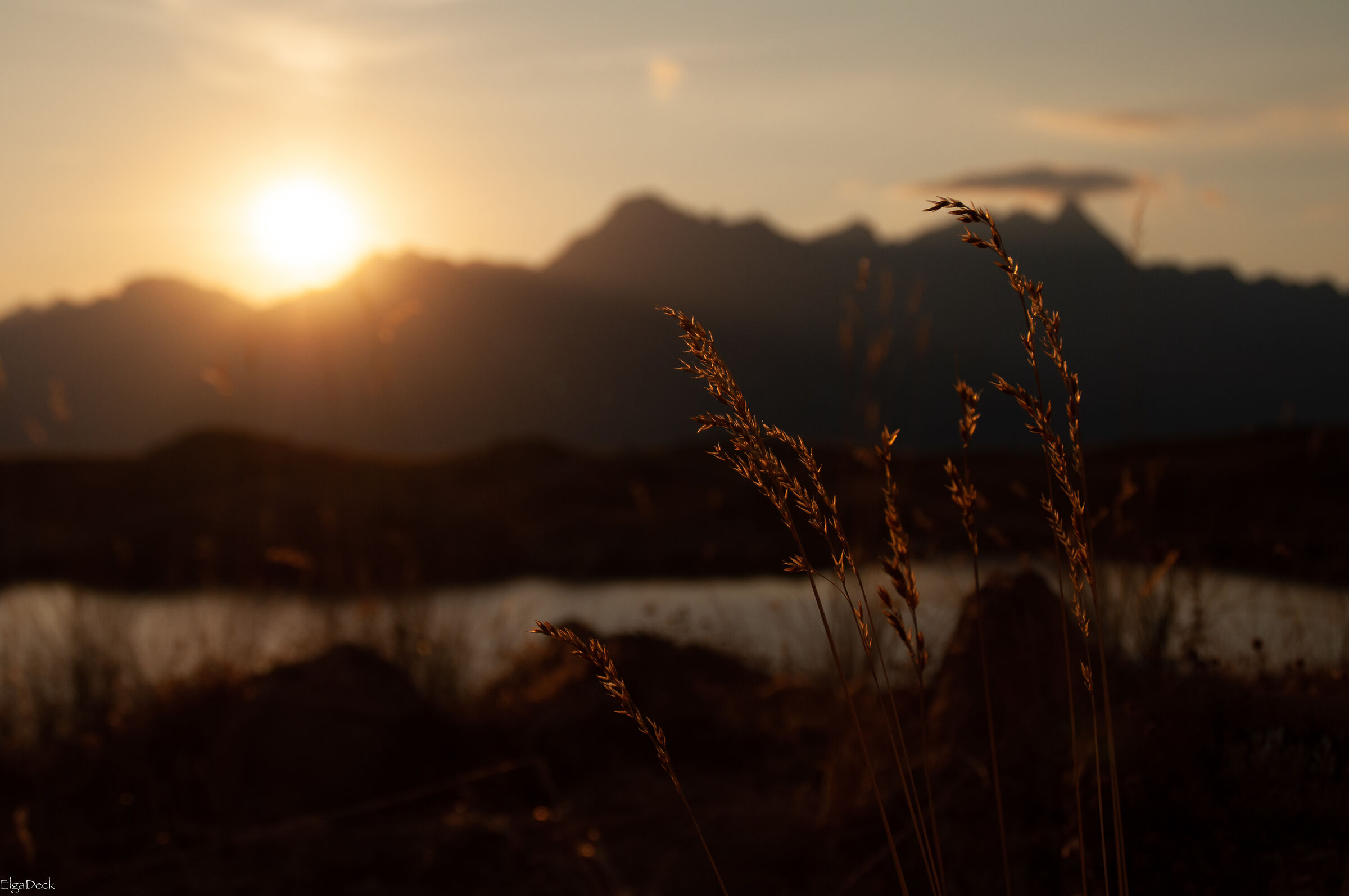 sun caress
