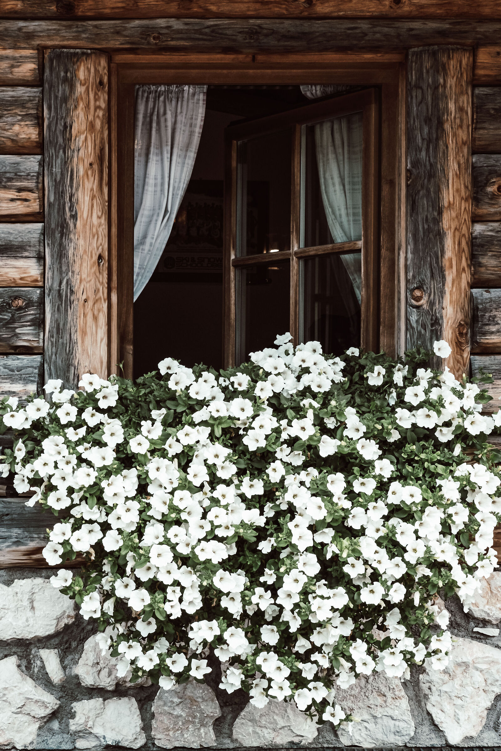 Cabin window