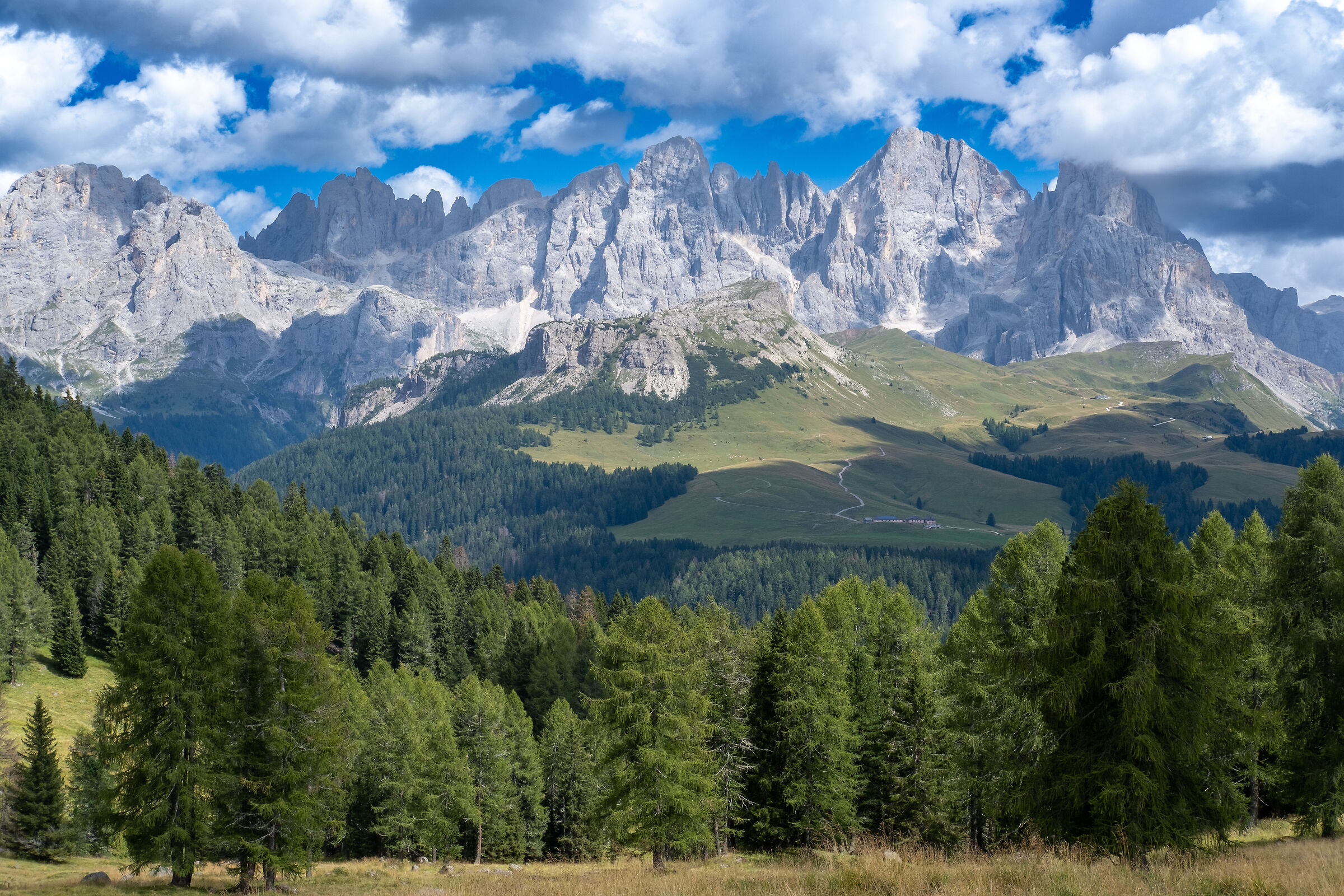 Pale di San Martino da Malga Bocche