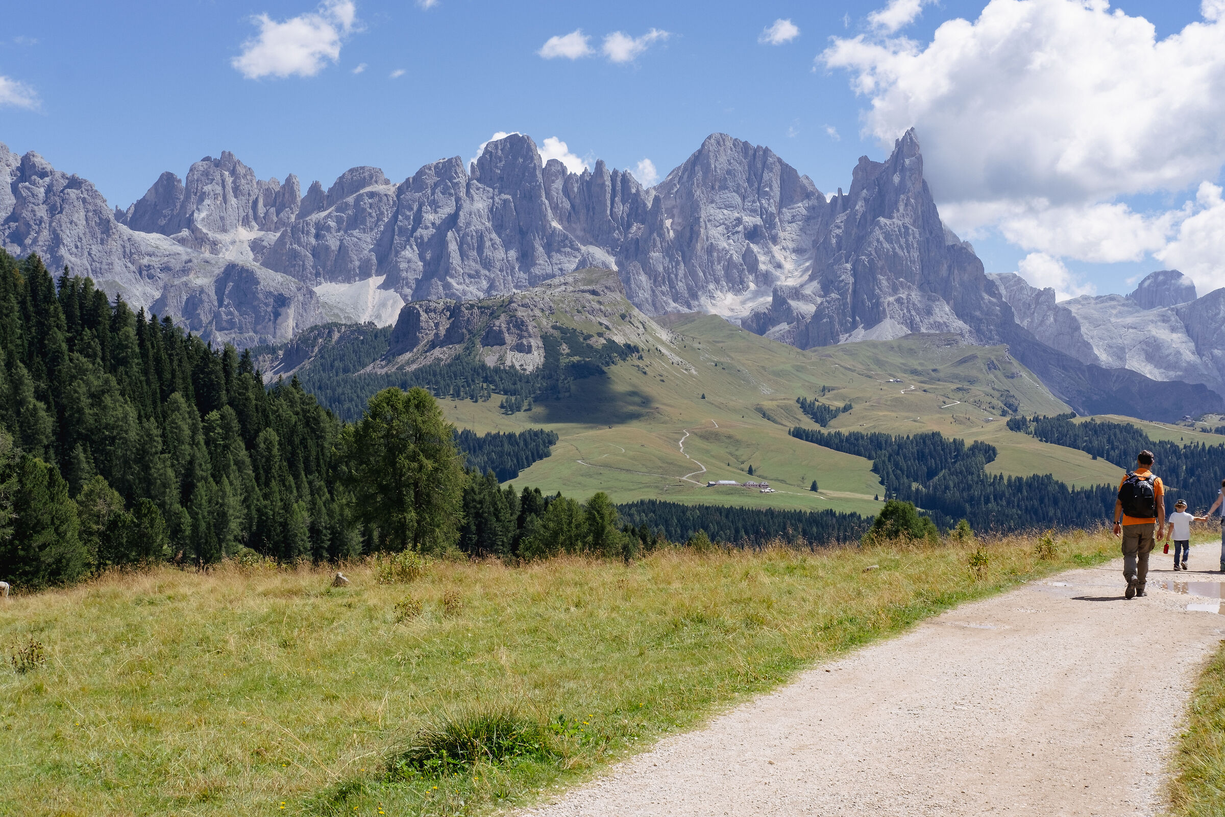 Towards the Pale di San Martino