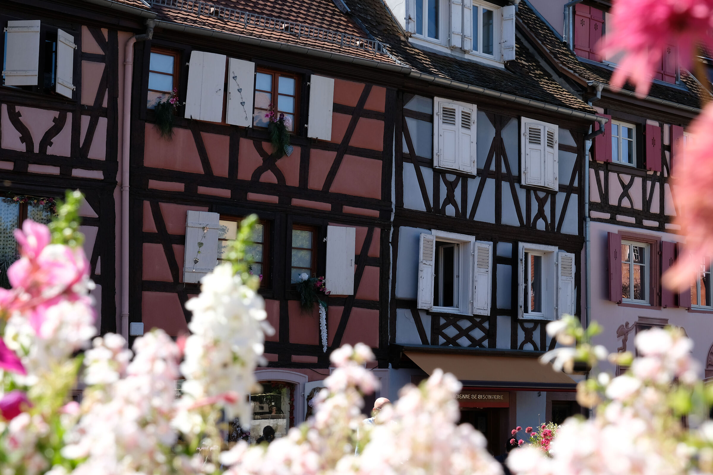 Colmar