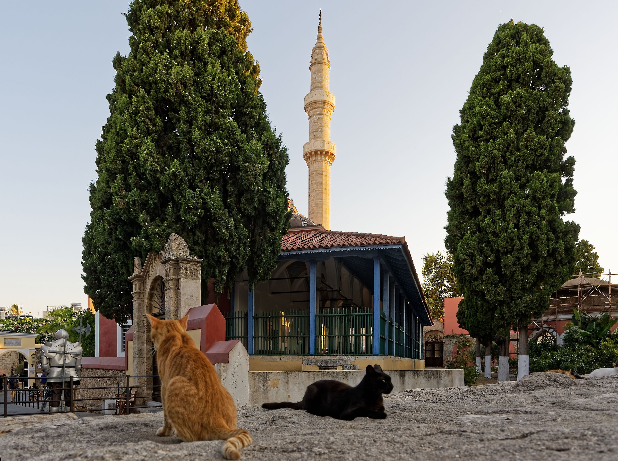 The cats of Rhodes