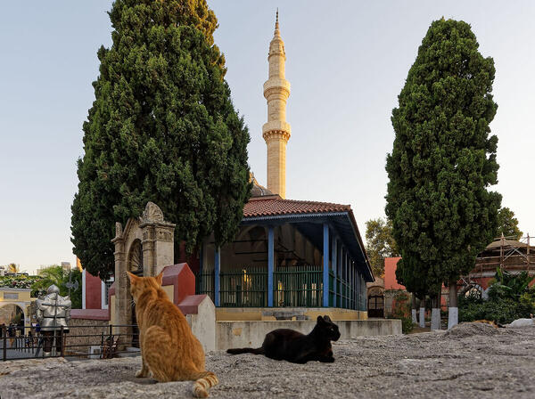 Foto