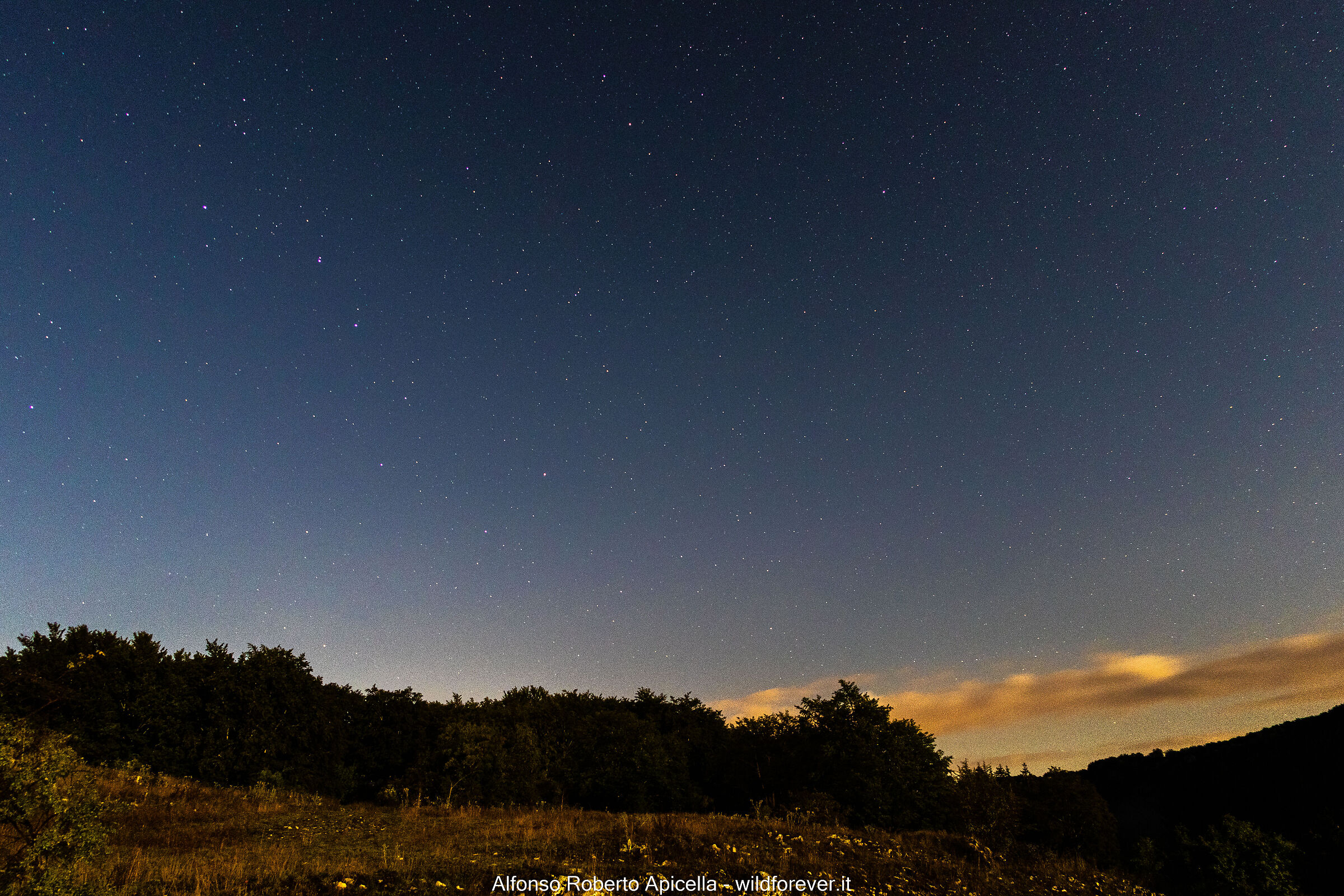 Stelle (test R10)