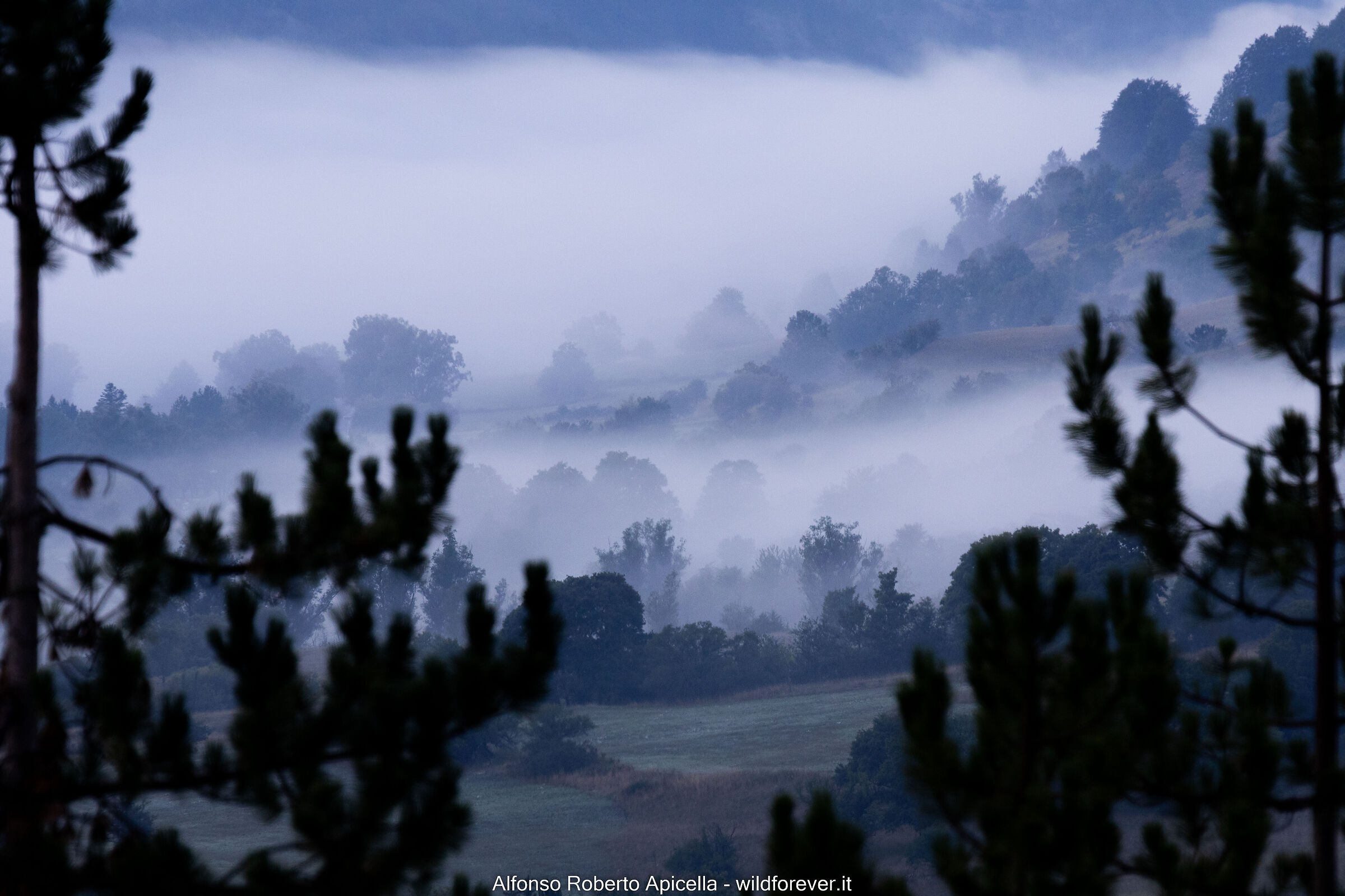 Nebbia (test R10)