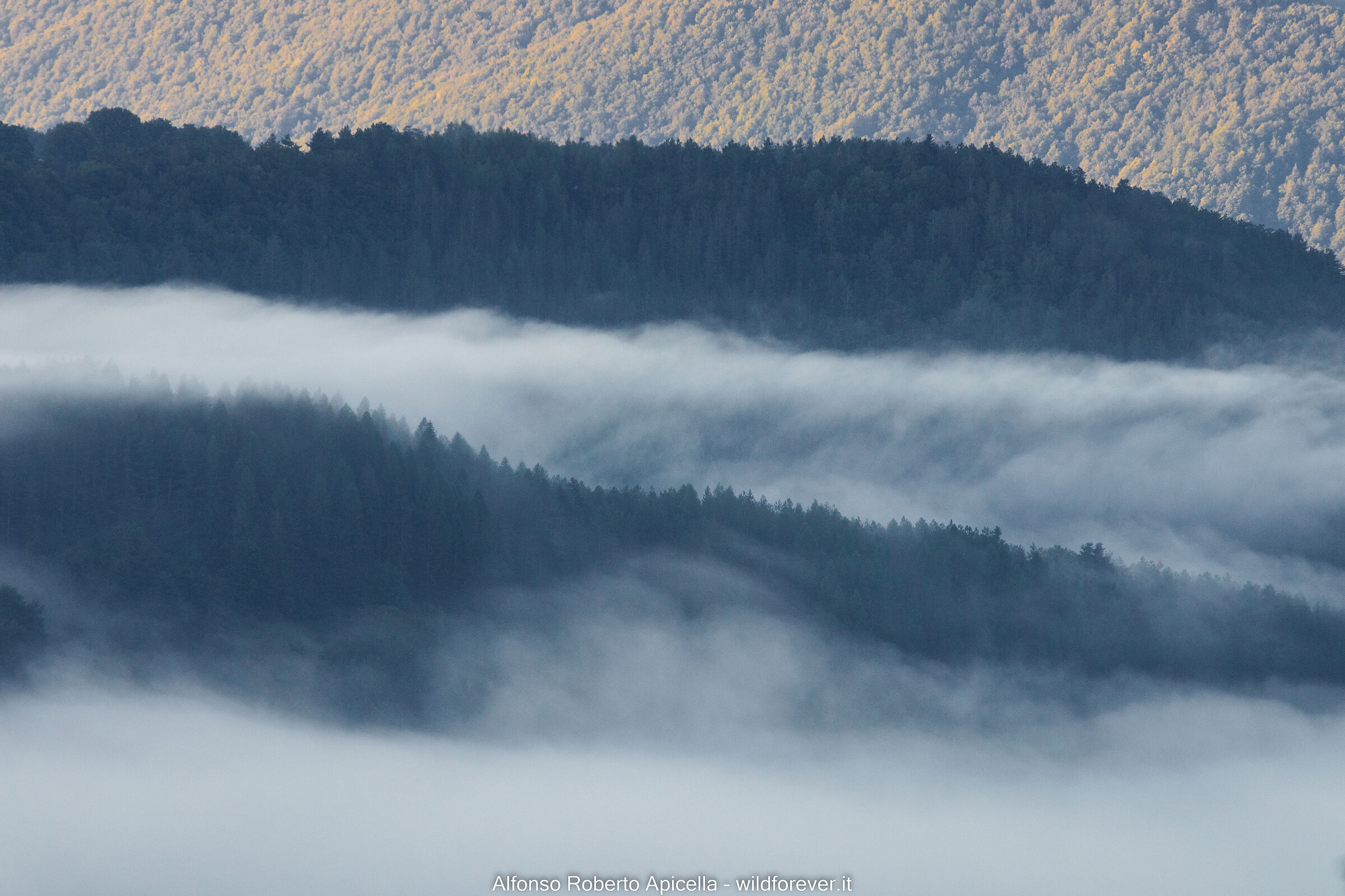 Nebbia (test R10)