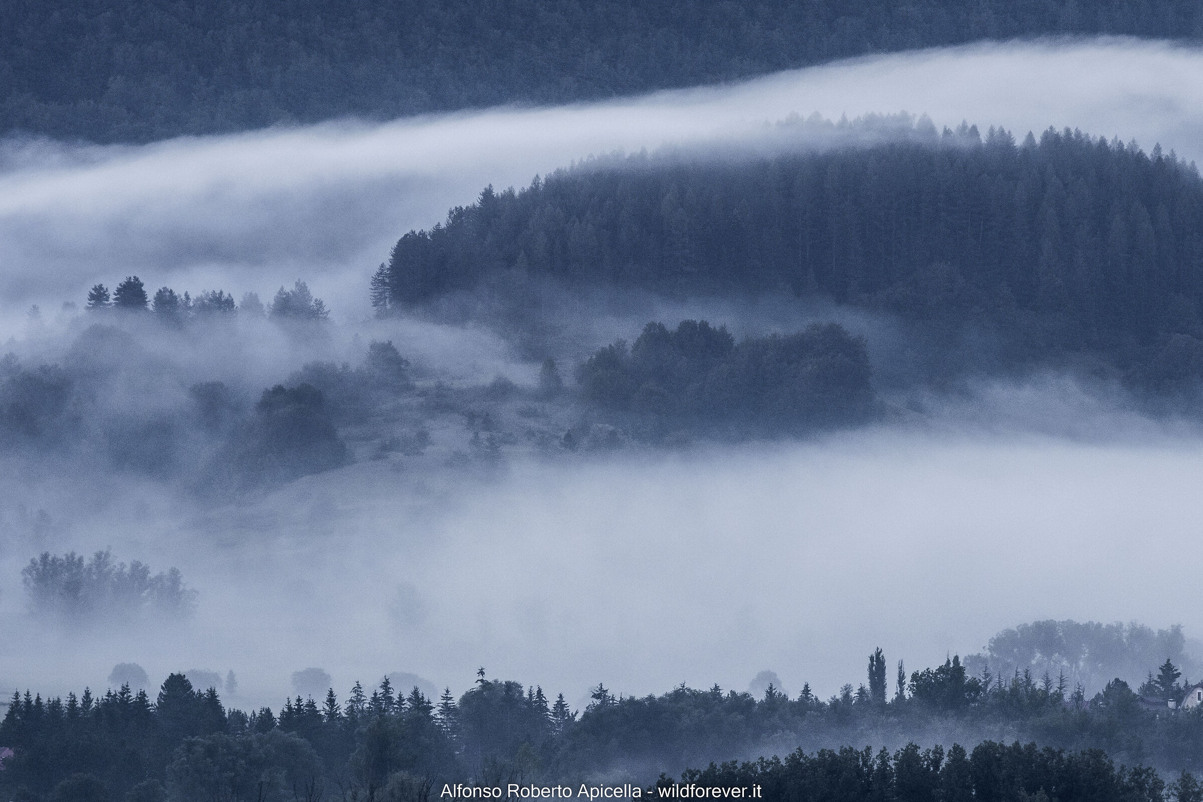 Nebbia (test R10)