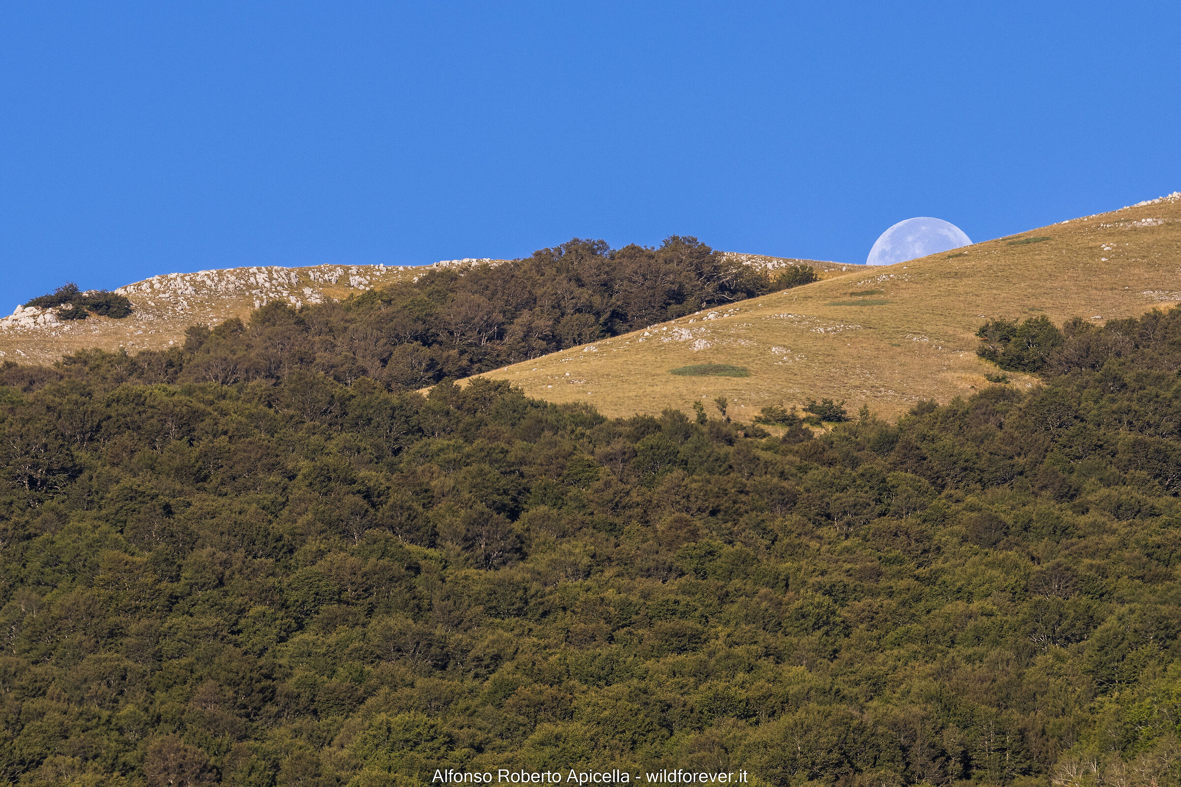 Luna (test R10)
