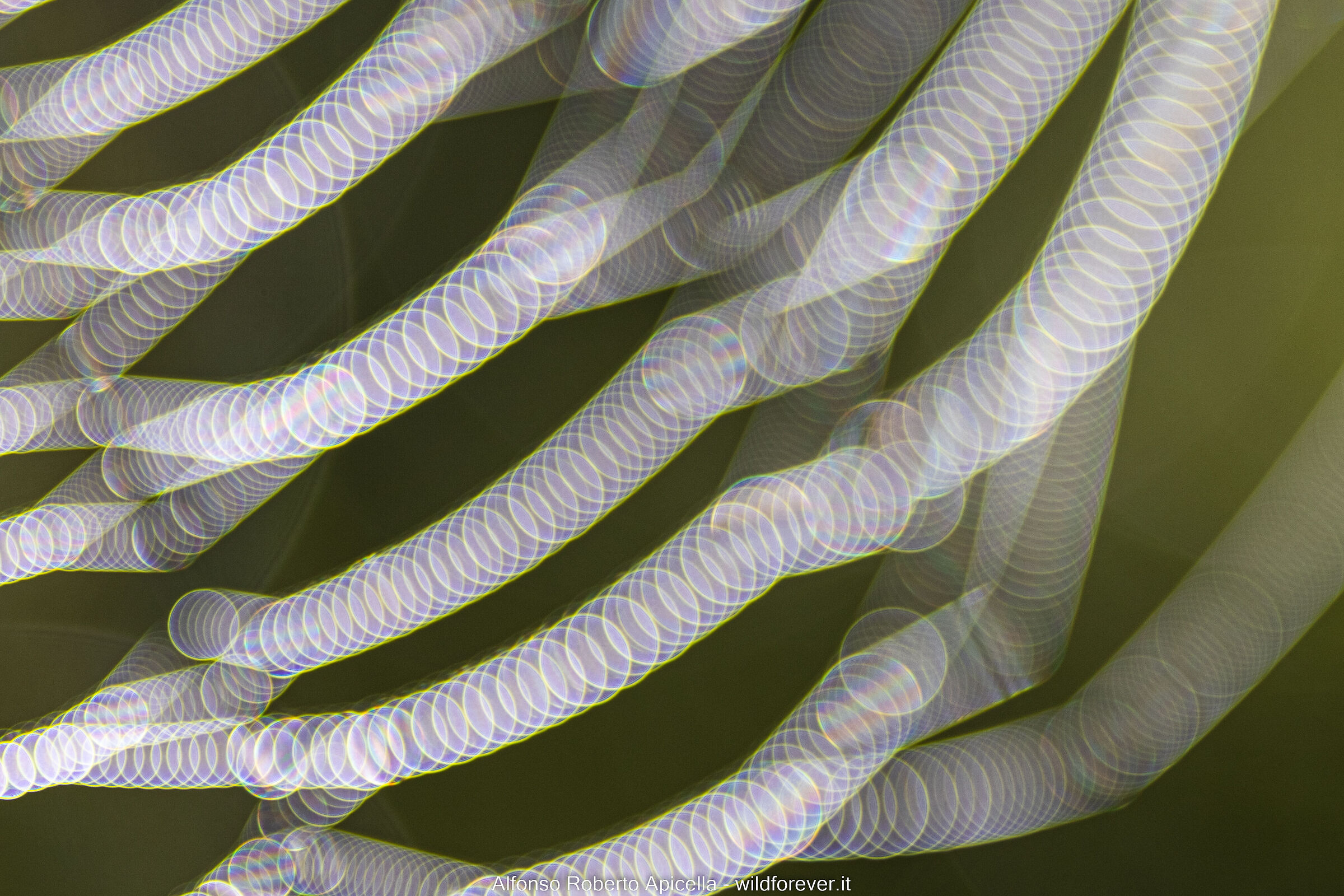 Ragnatela (Test R10)