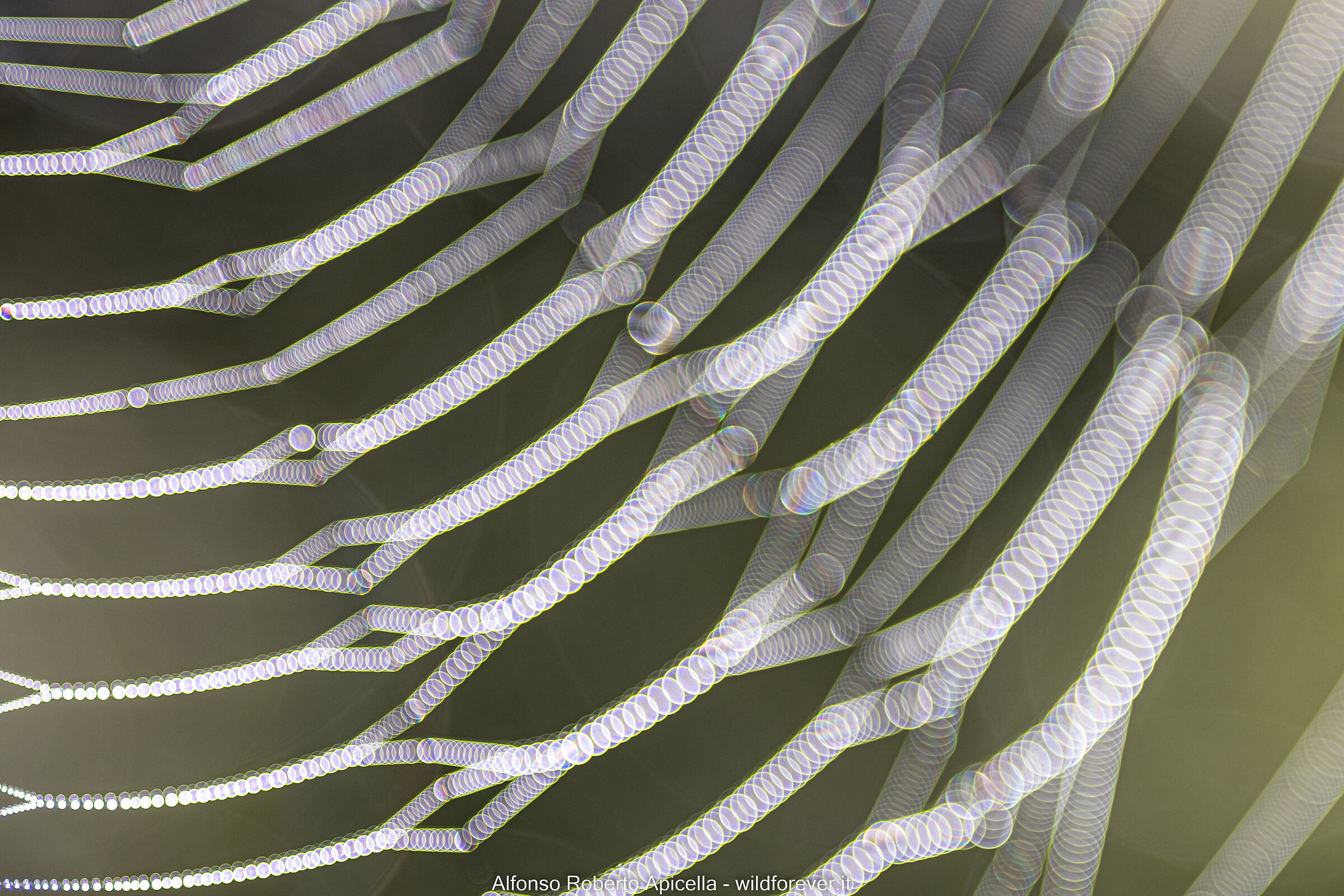 Ragnatela (Test R10)