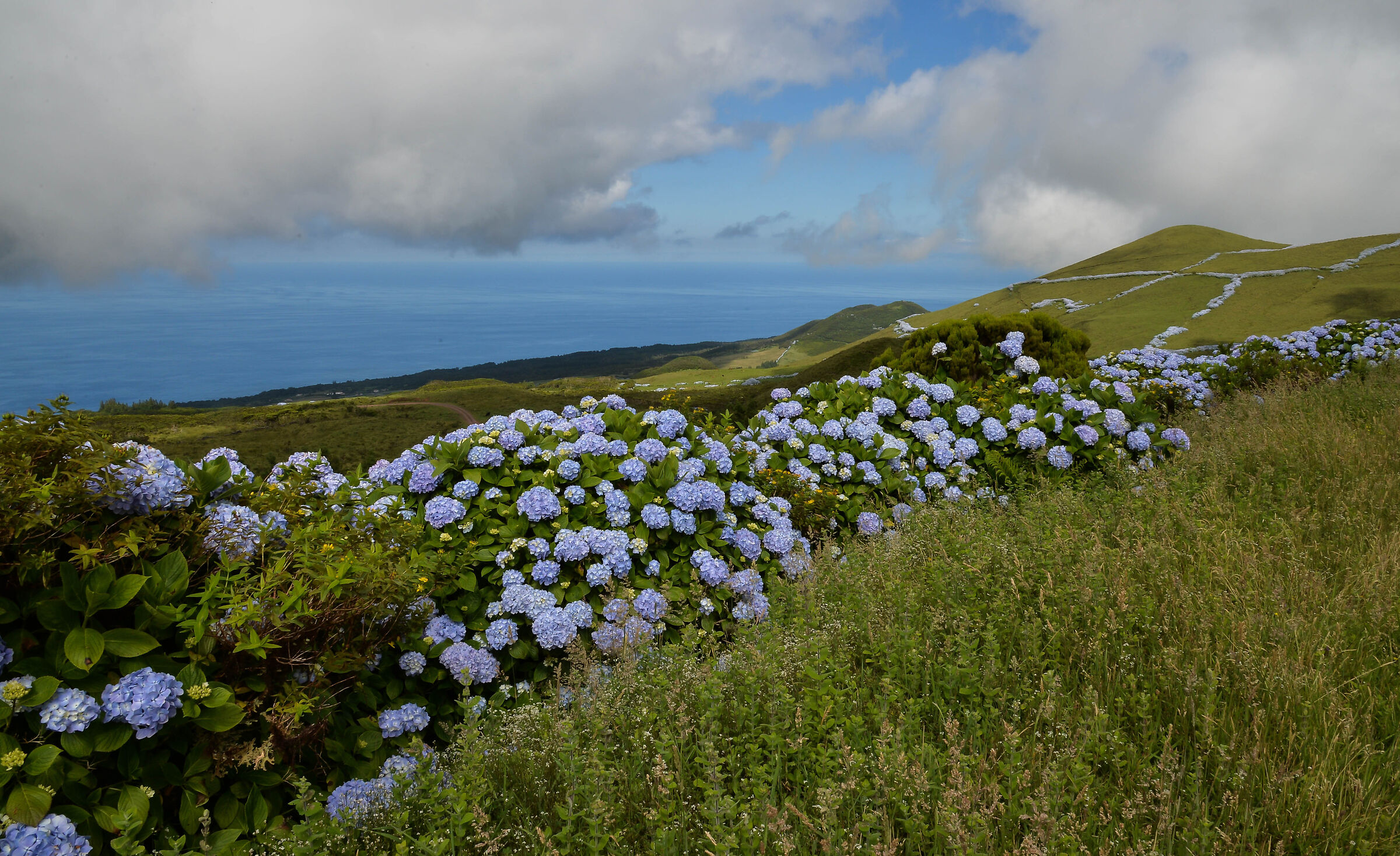 Sao Jorge, Acores 8