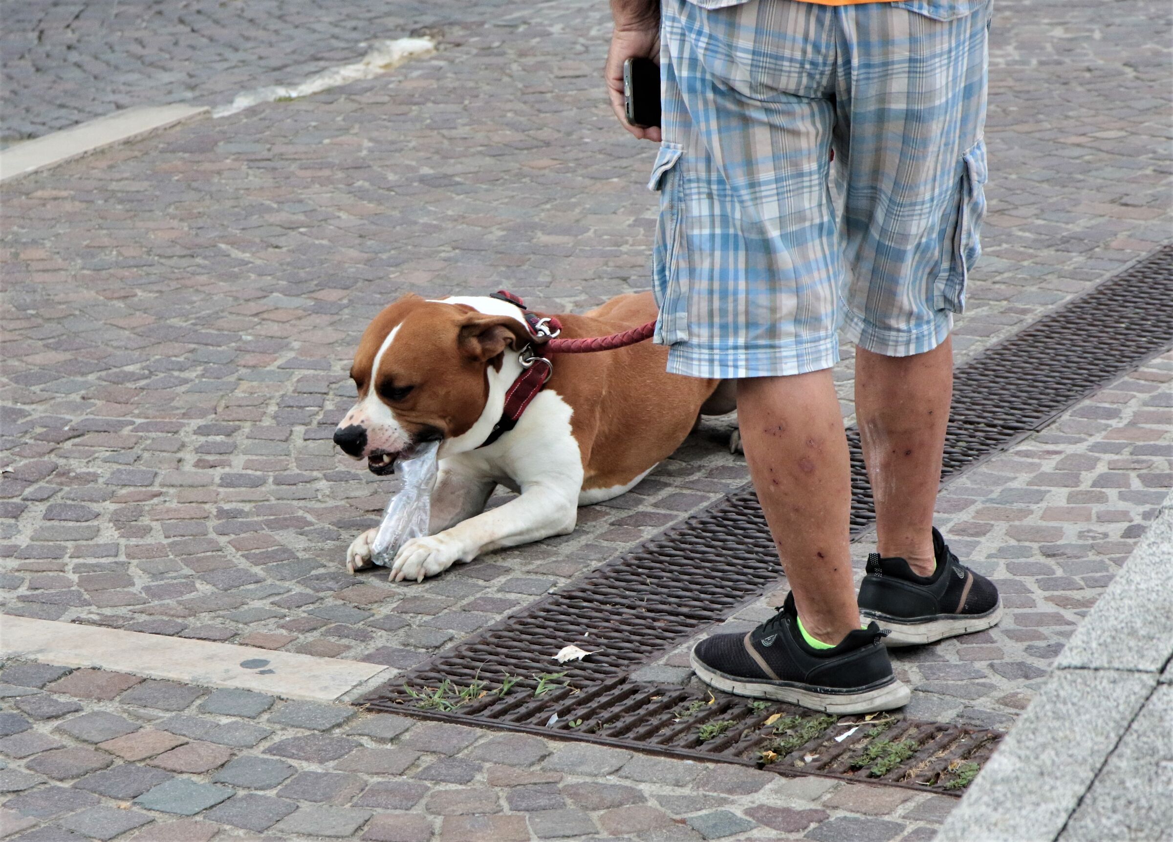 alternative to my calves!!