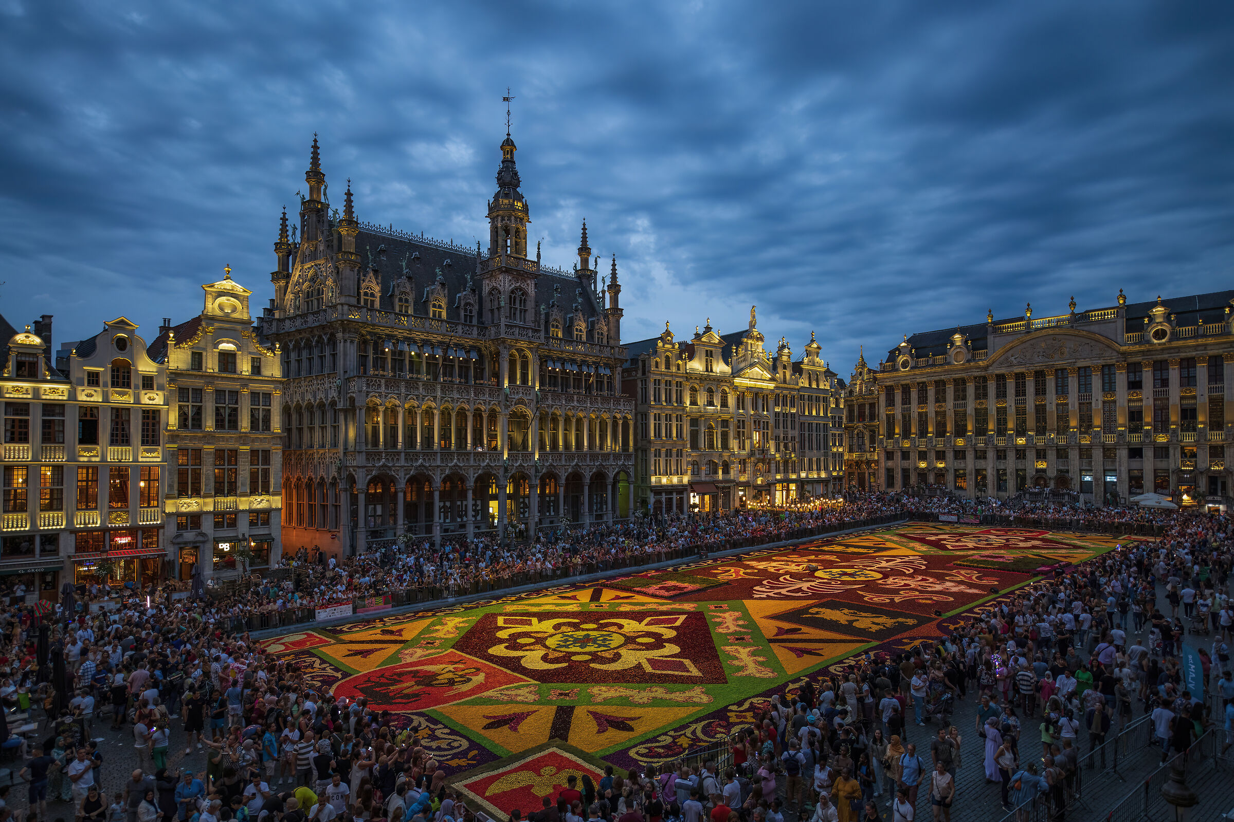 Bruxelles Flower Carpet 2022