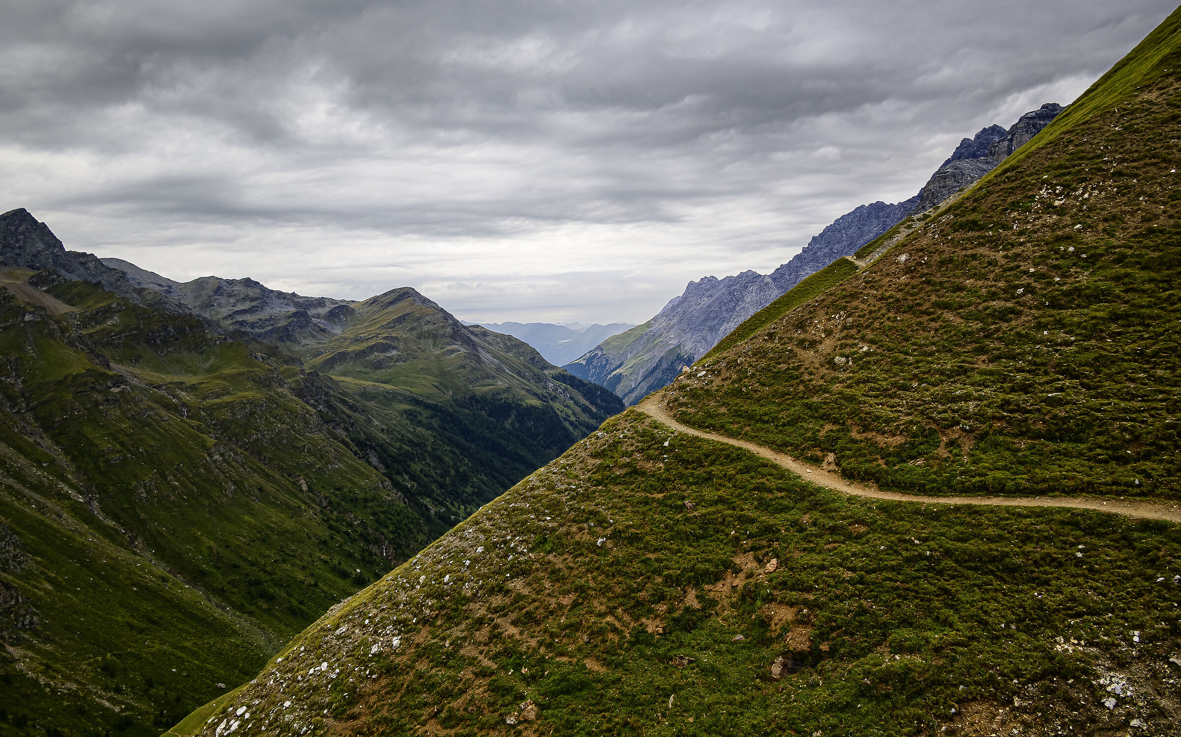 Path that connects the V Alpini to the Zebrù pass