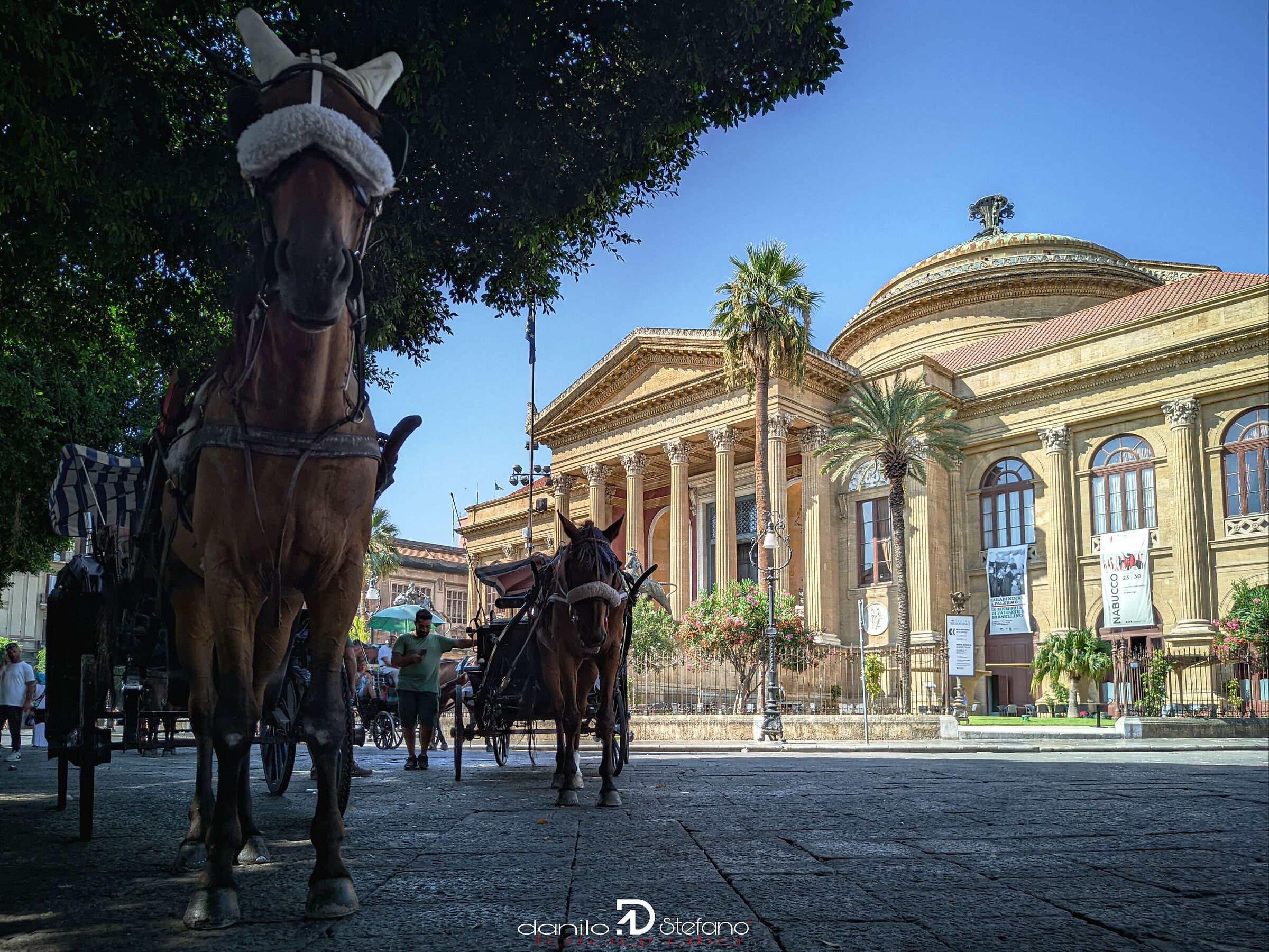 Palermo - teatro Massimo