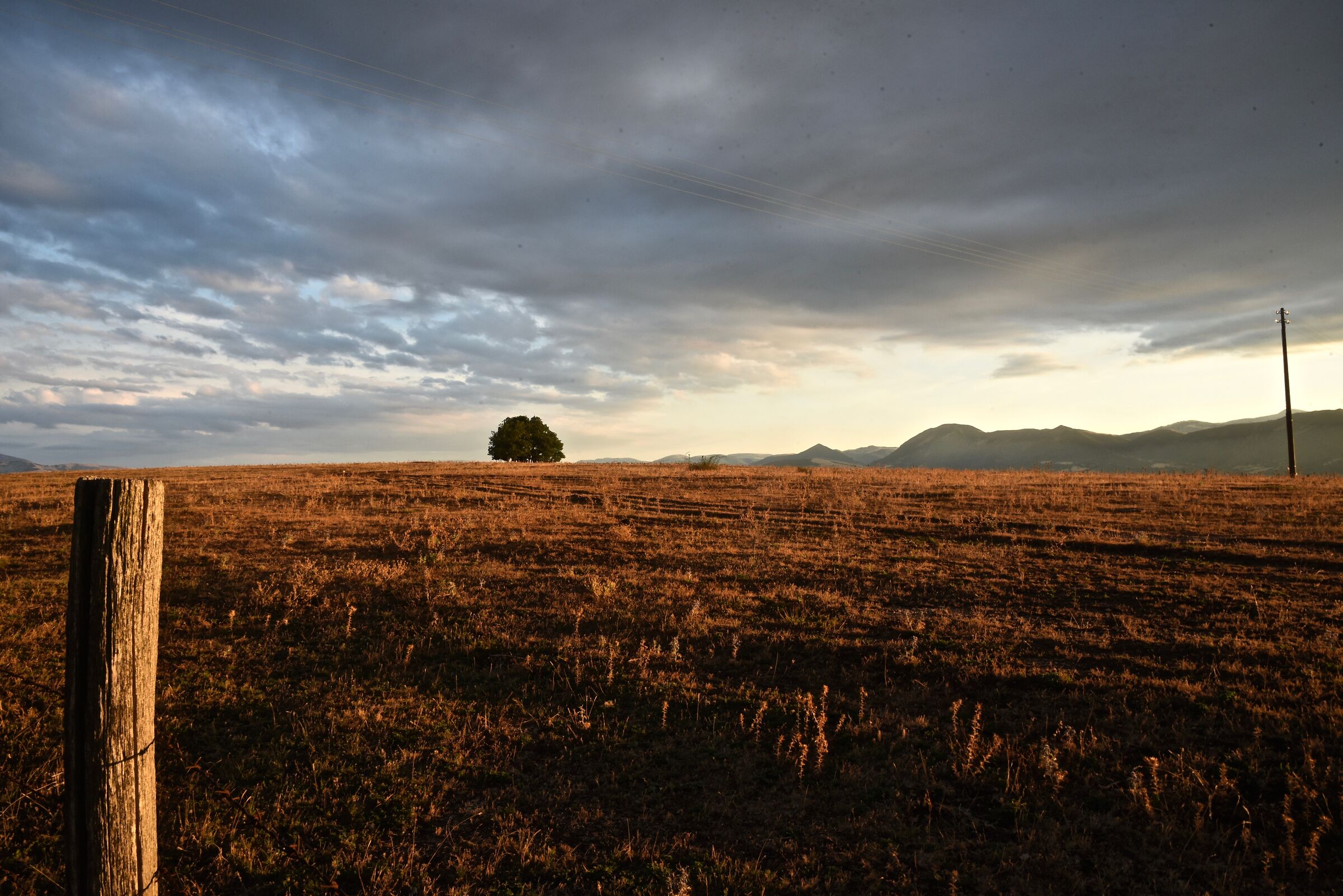 The place of the soul