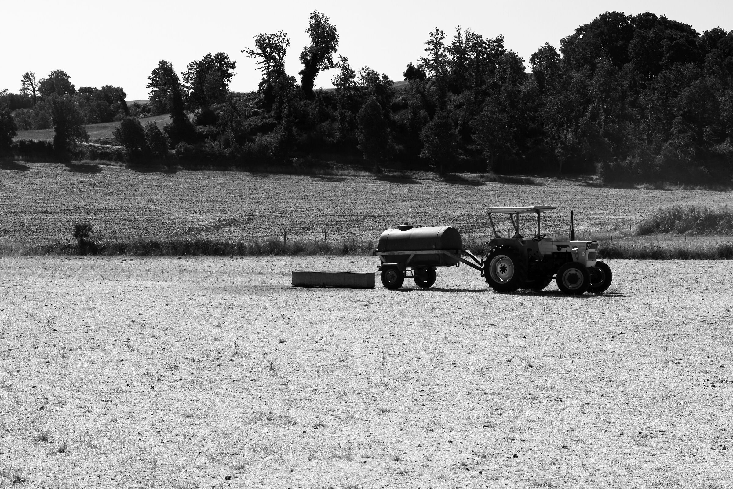 Agriculture