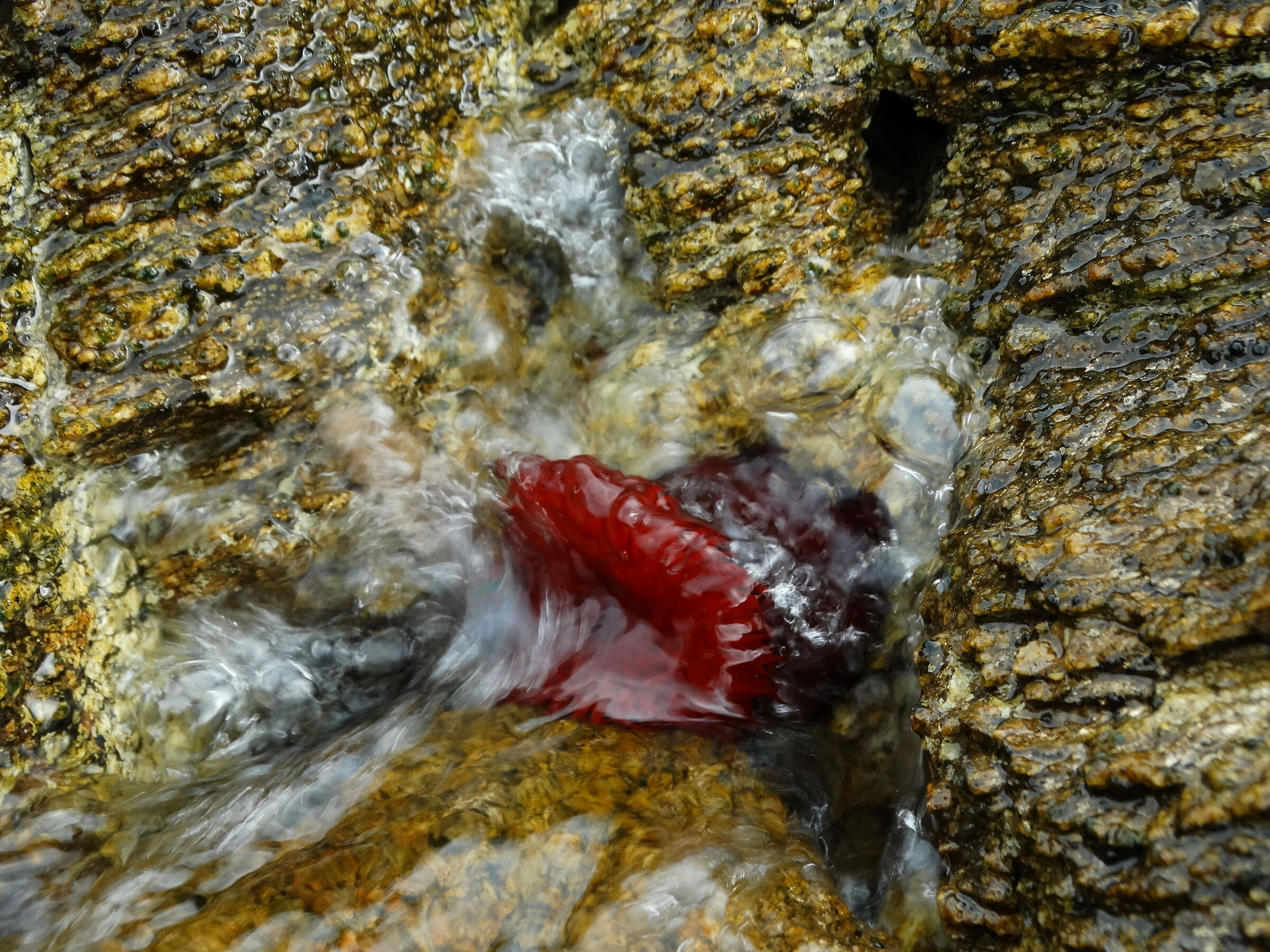 Splash!