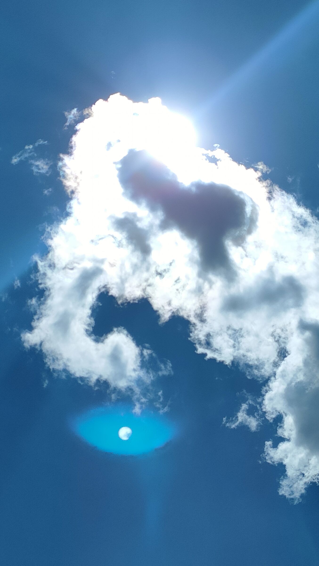 Elephant in the clouds