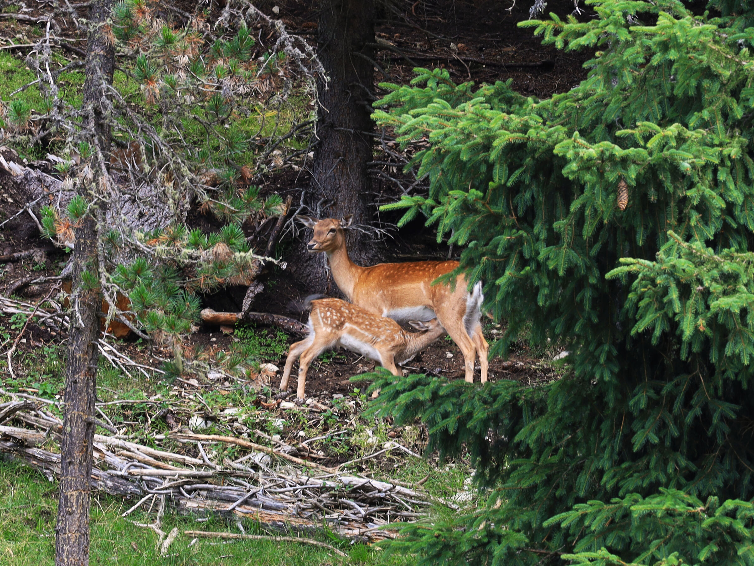 Mother and son.