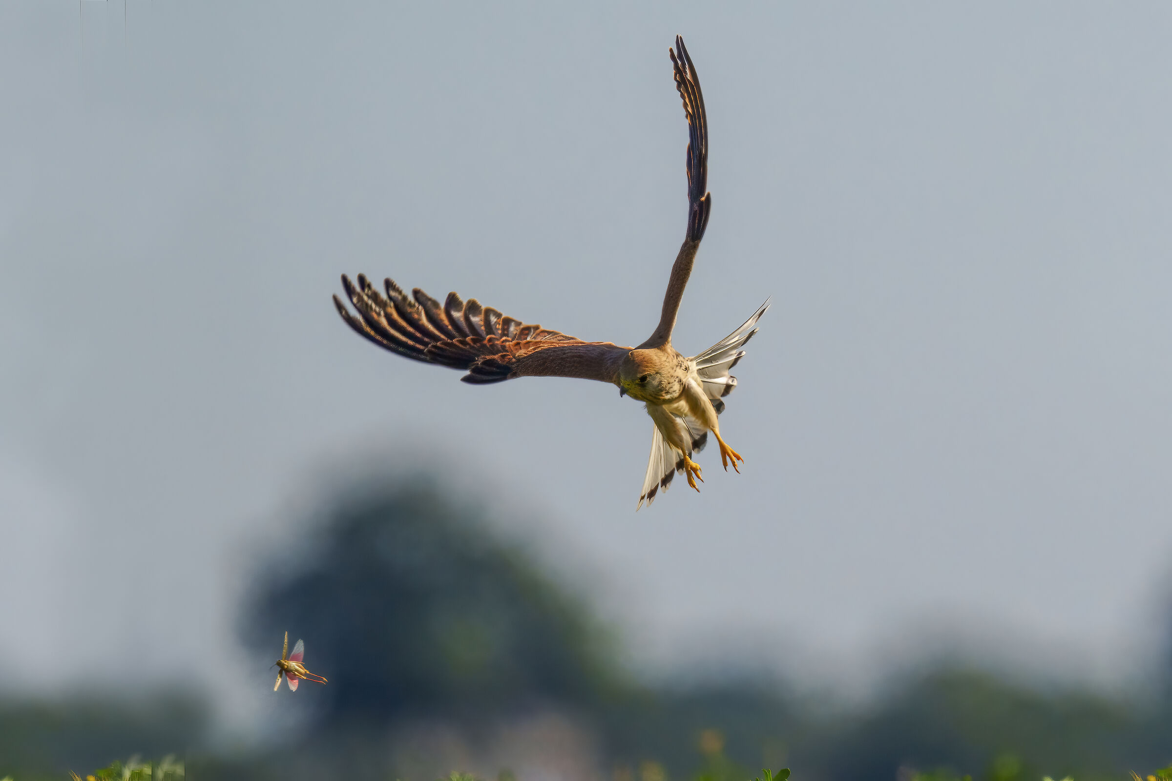 - O my God!  ......Gosh!!!