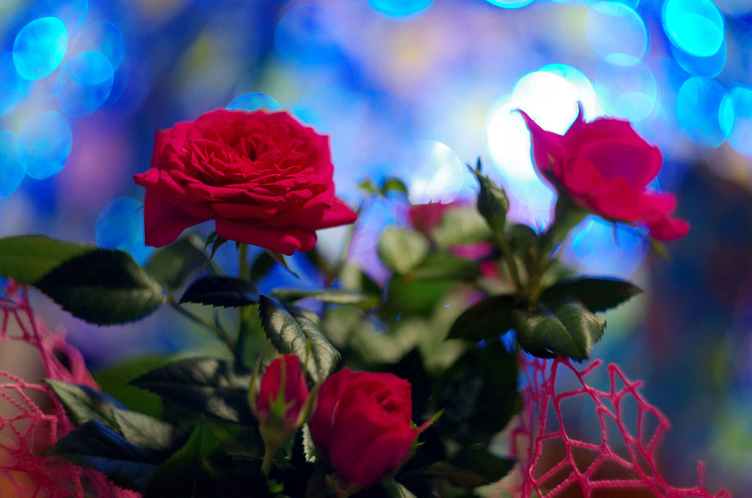 Nel mondo dell'Helios