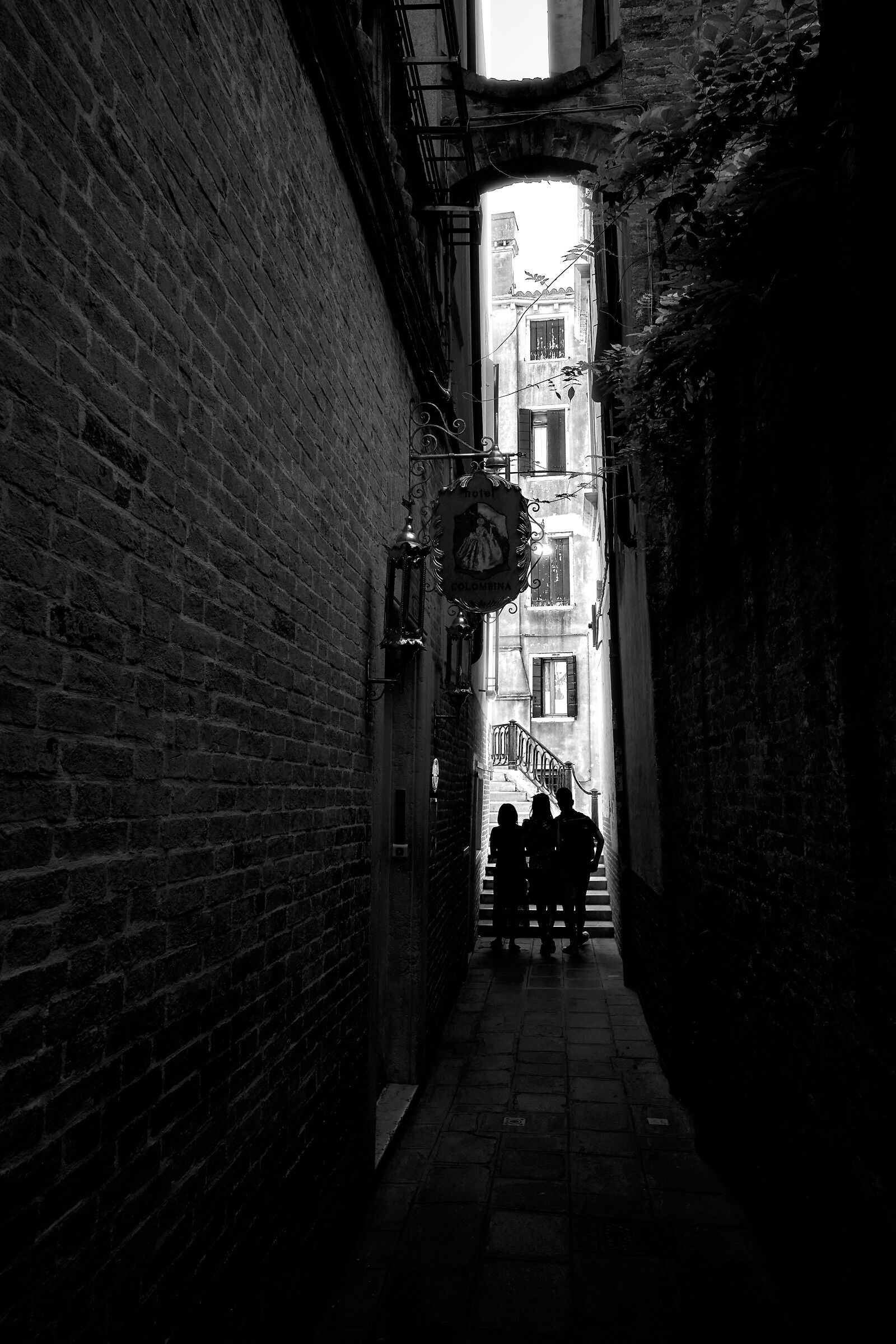 Venice bn