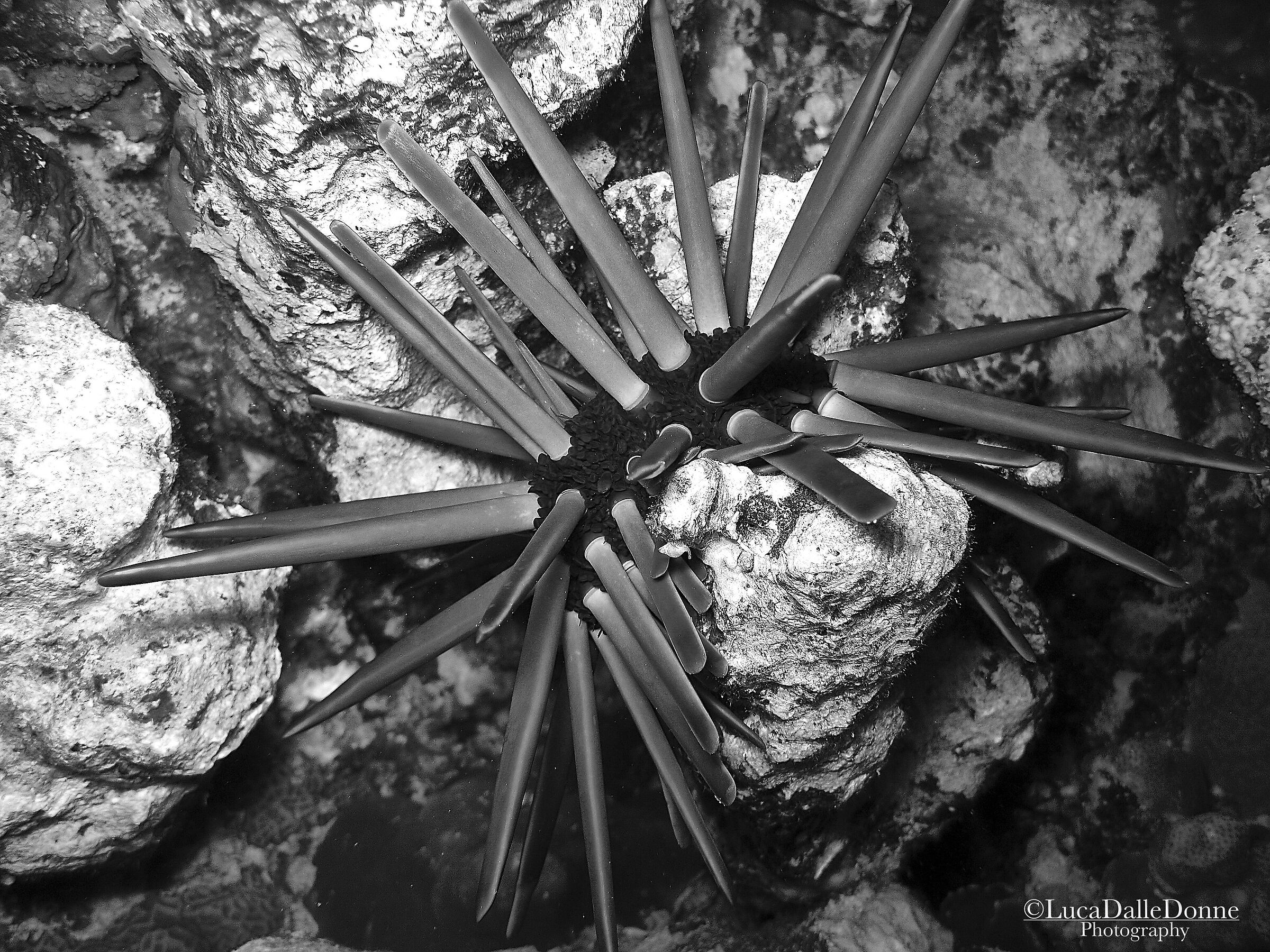 Sharm of other times 1