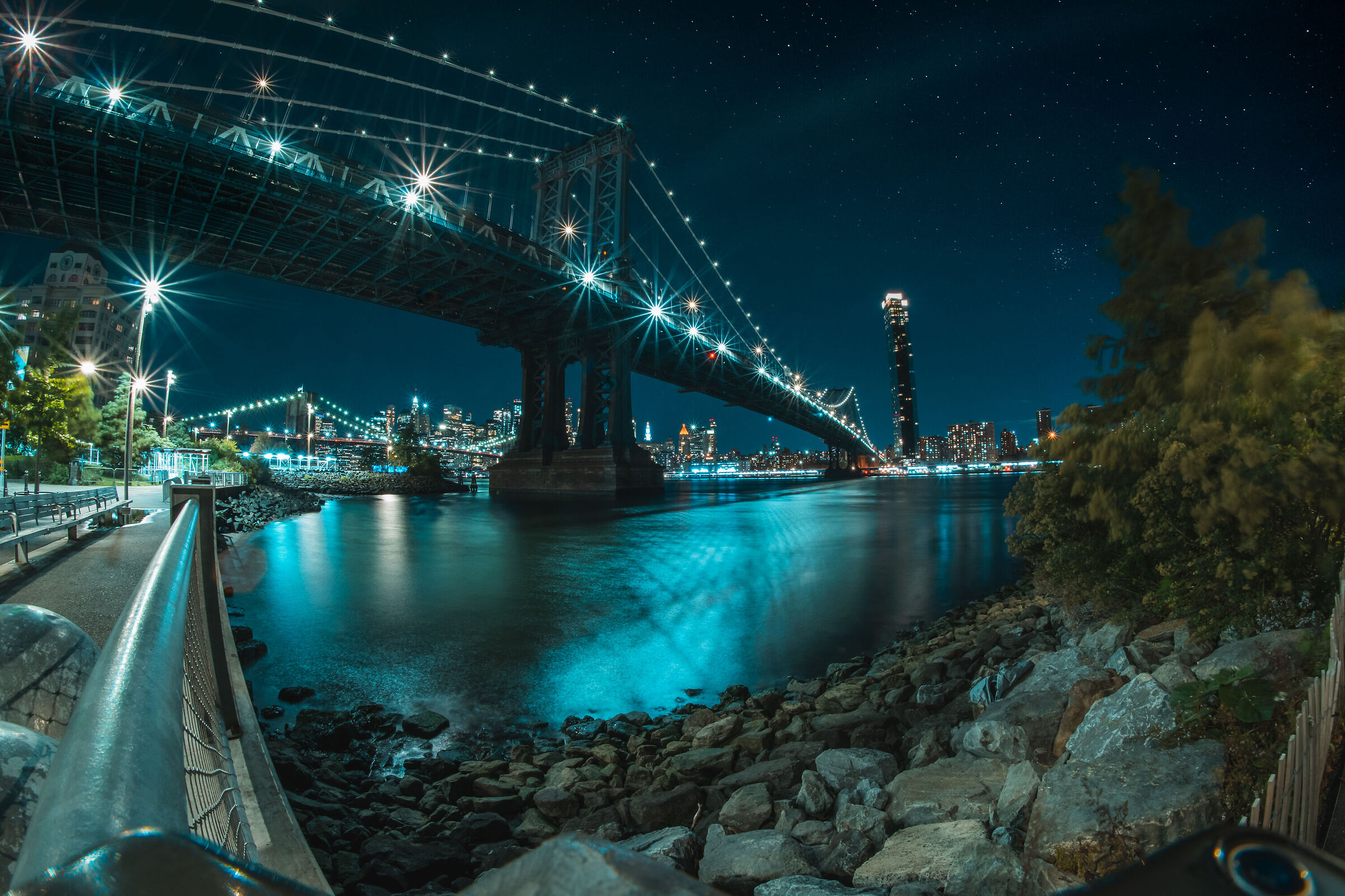 Brooklyn fish eye EFX