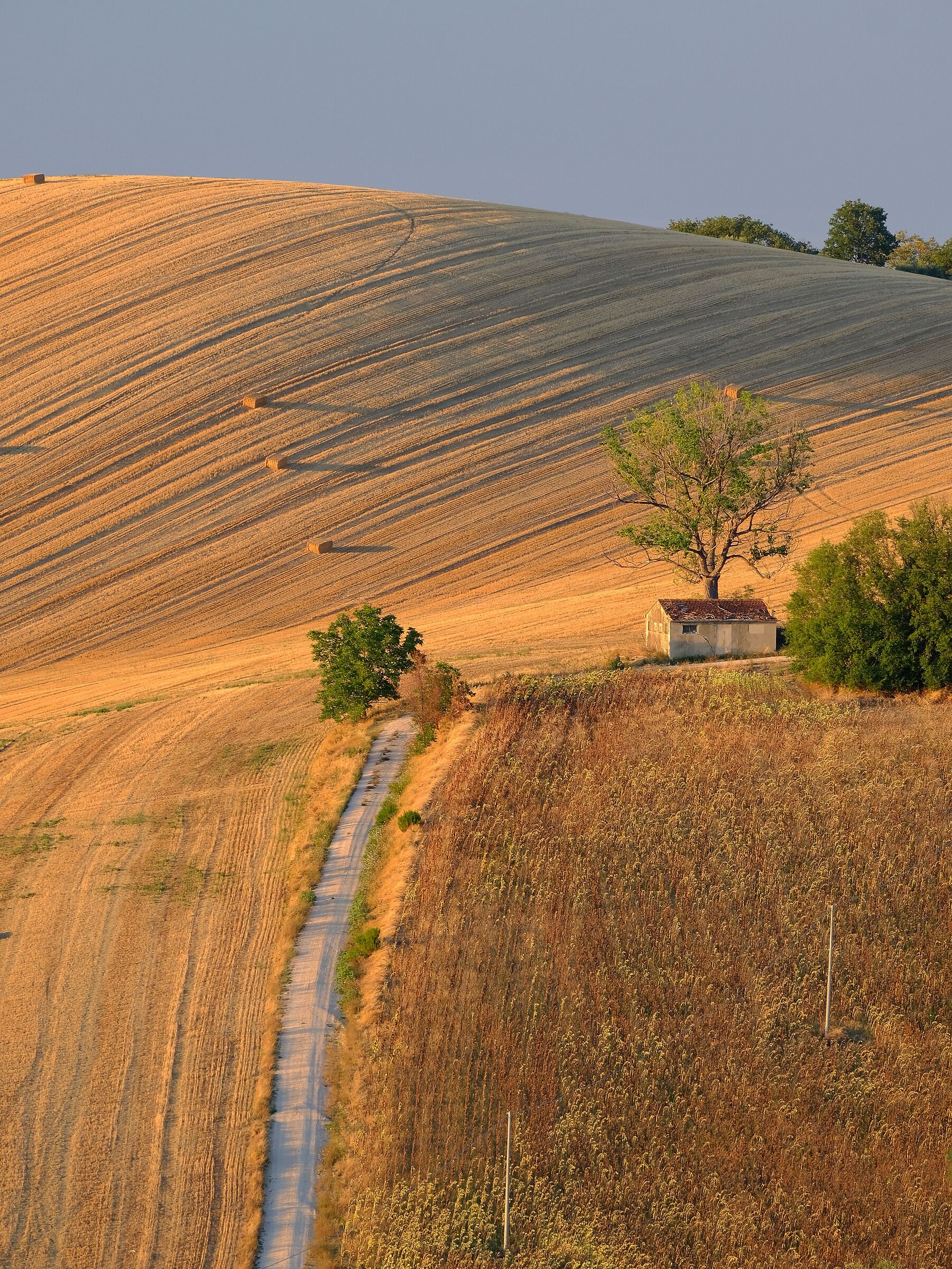rudere marchigiano