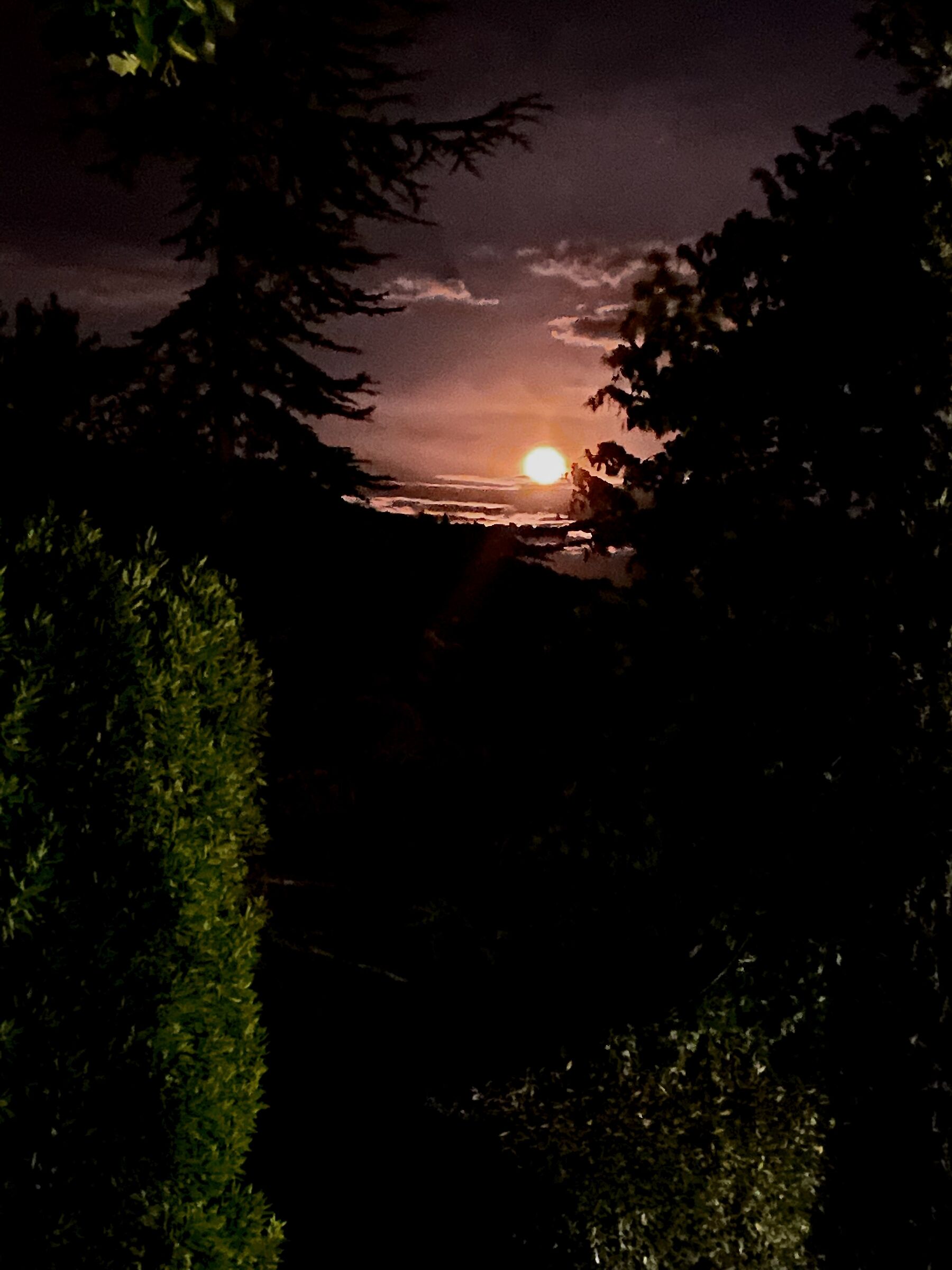 Guarda che luna