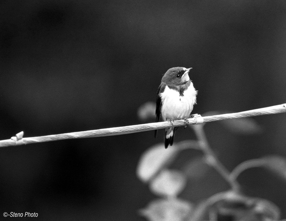 who knows when he will return his mother