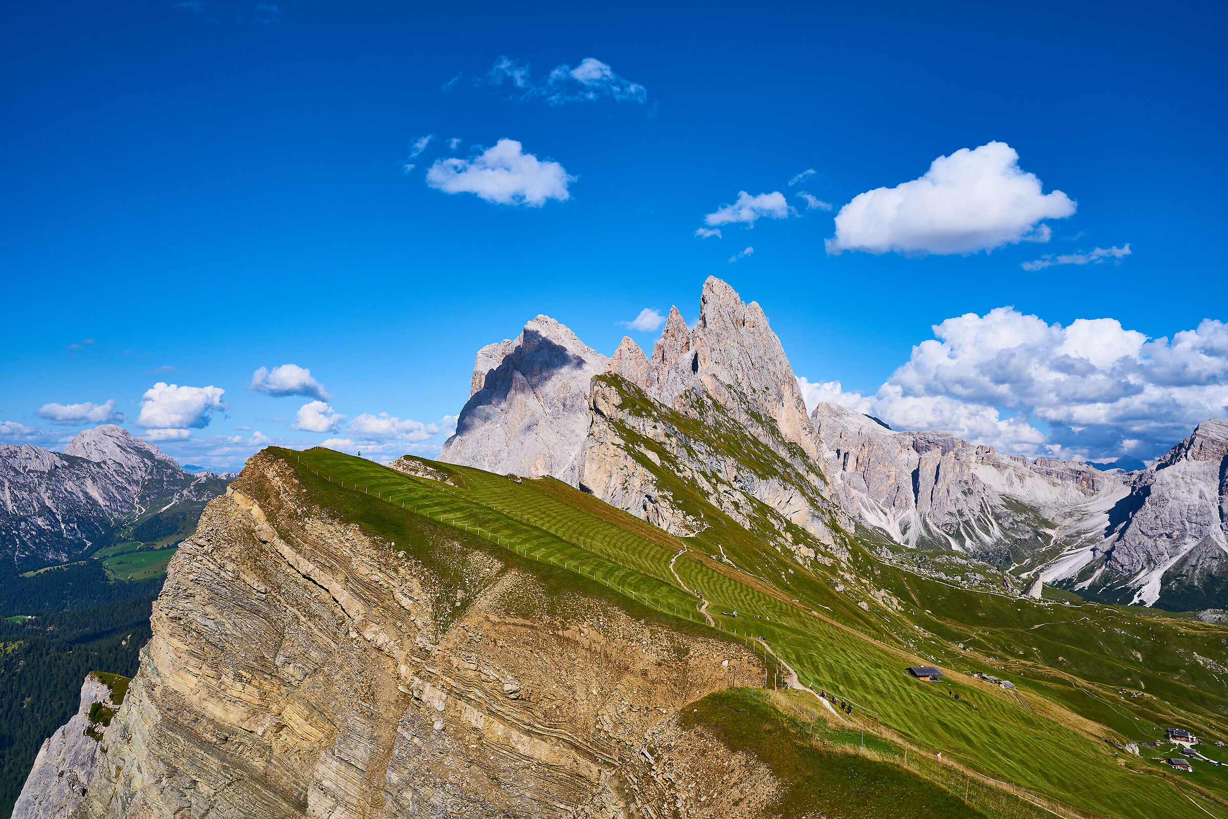 The Odle from Seceda