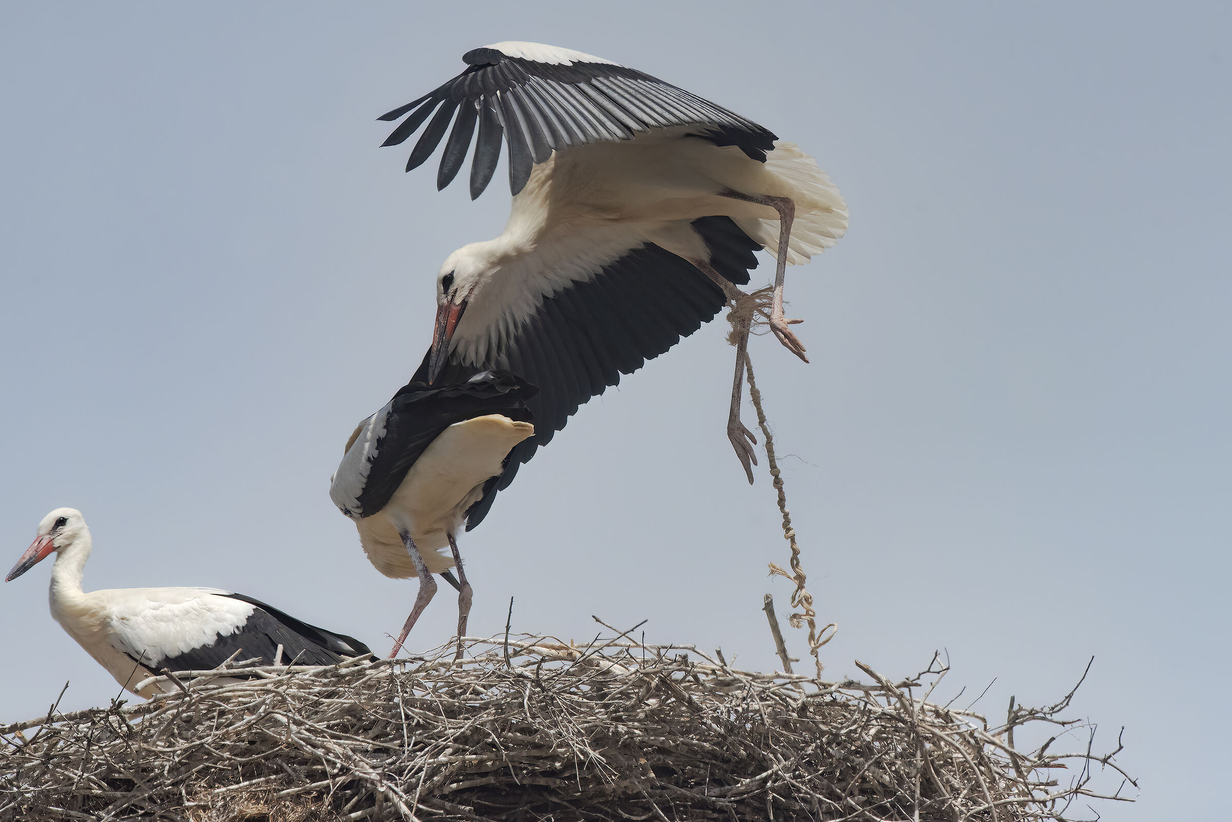 accappiara (=legata) una storia a lieto fine