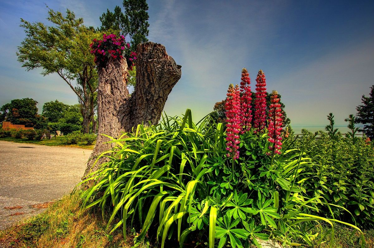 L'isle-aux-Coudres, Quebec, Canada