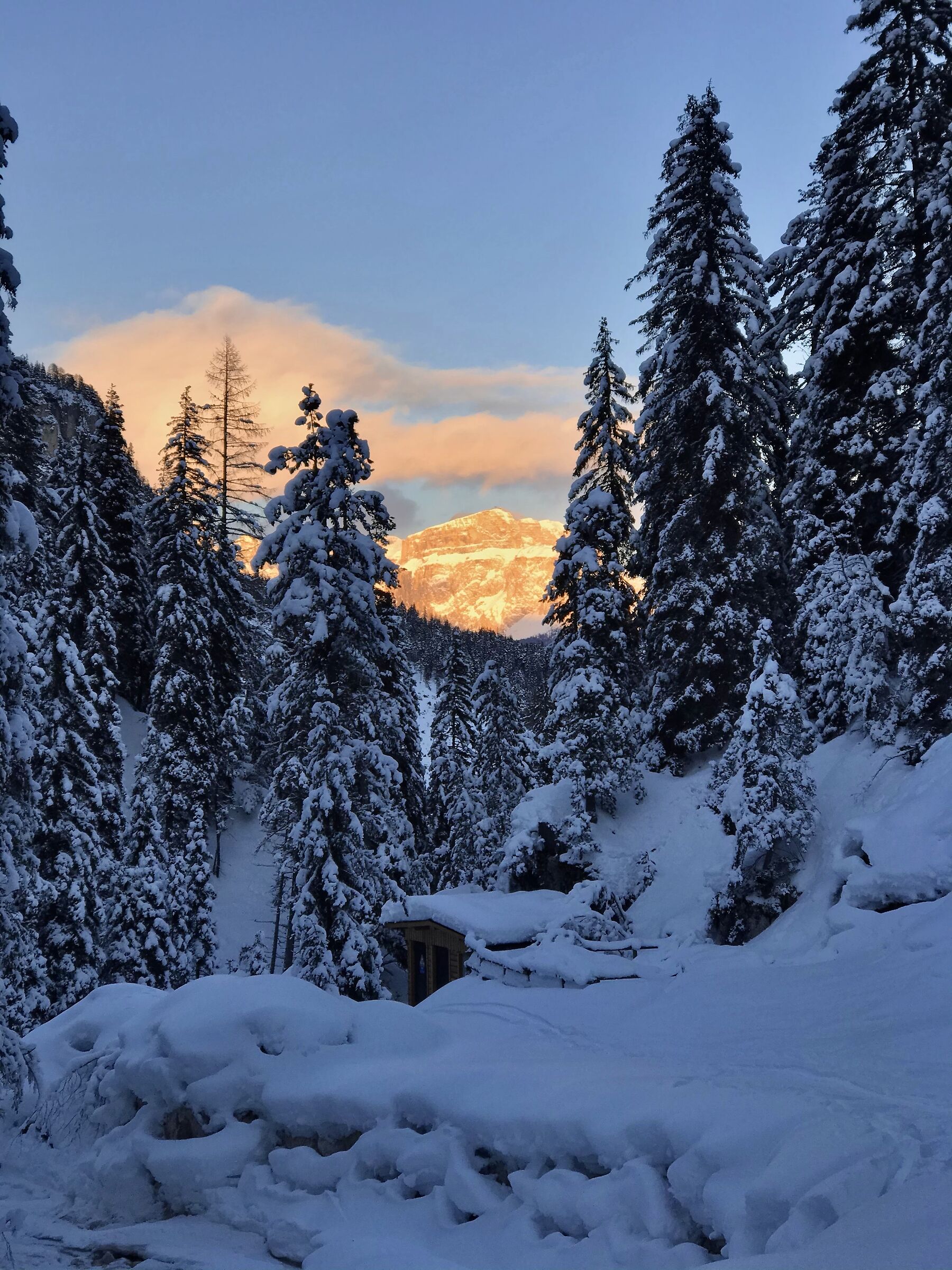 enrosadire on the Sella