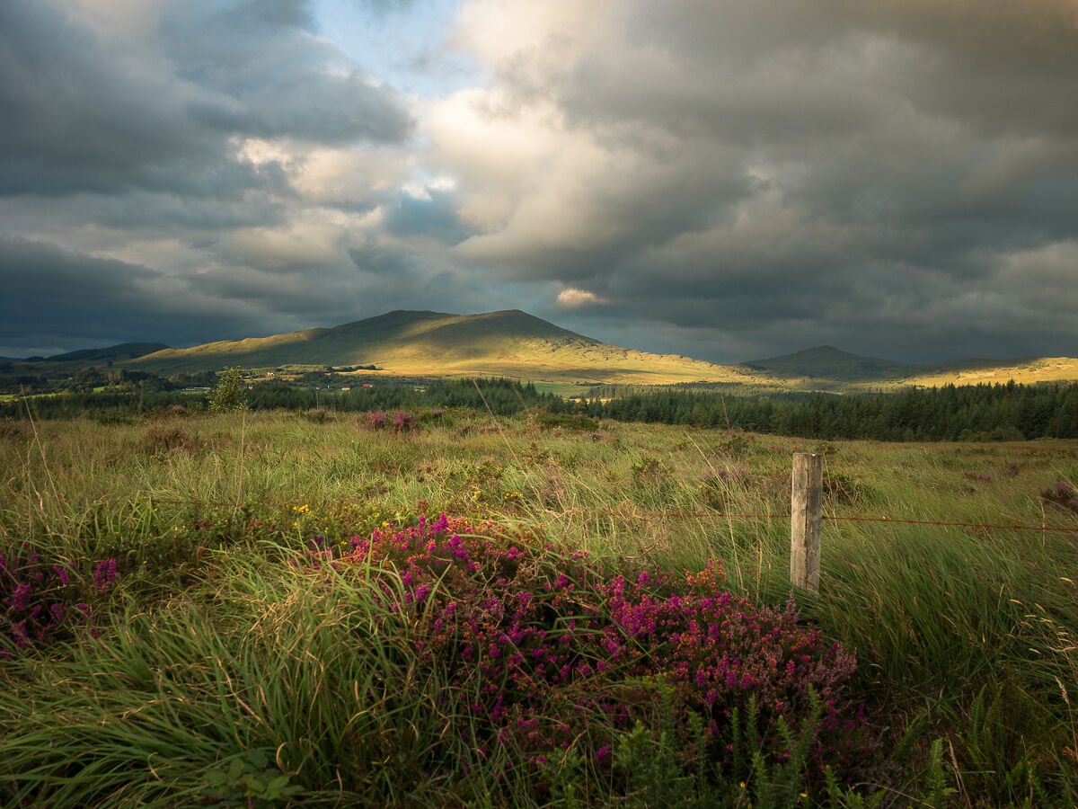 County Kerry