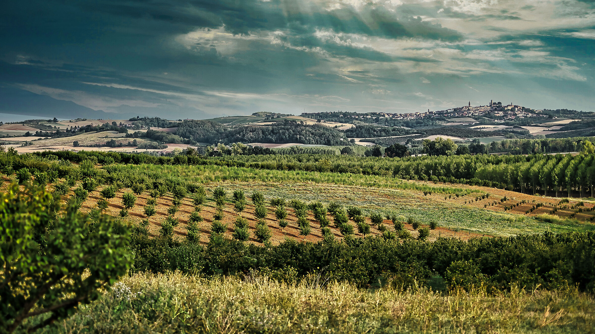 Il Monferrato dalla finestra di casa
