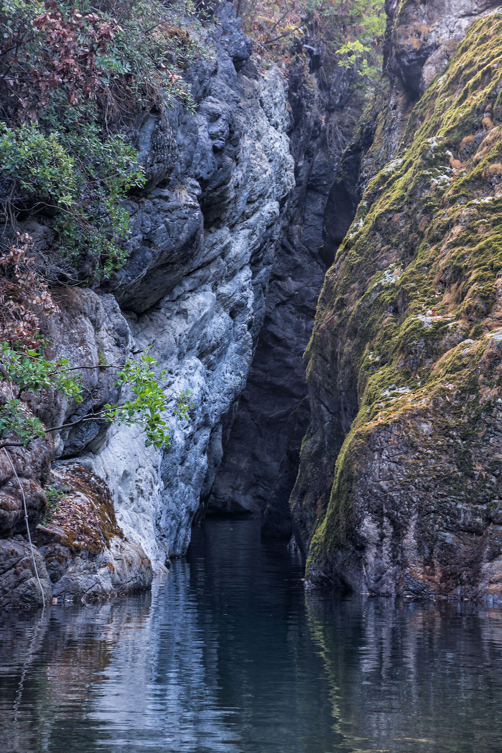 Il canyon della Val Graveglia