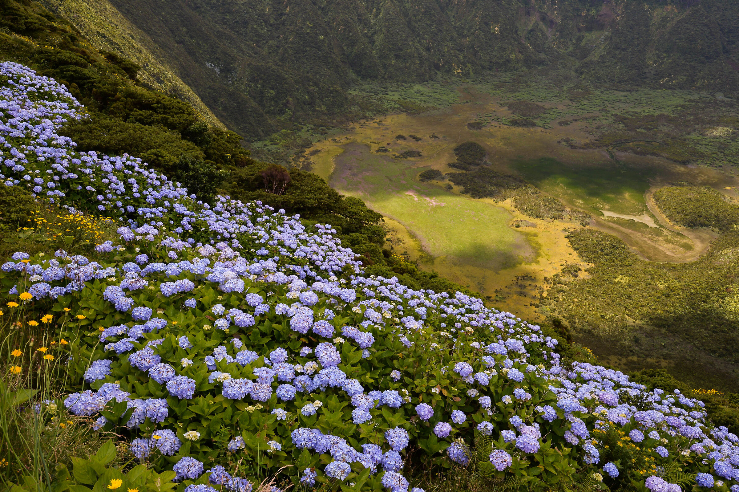 Caldeira on Faial. Acores  2