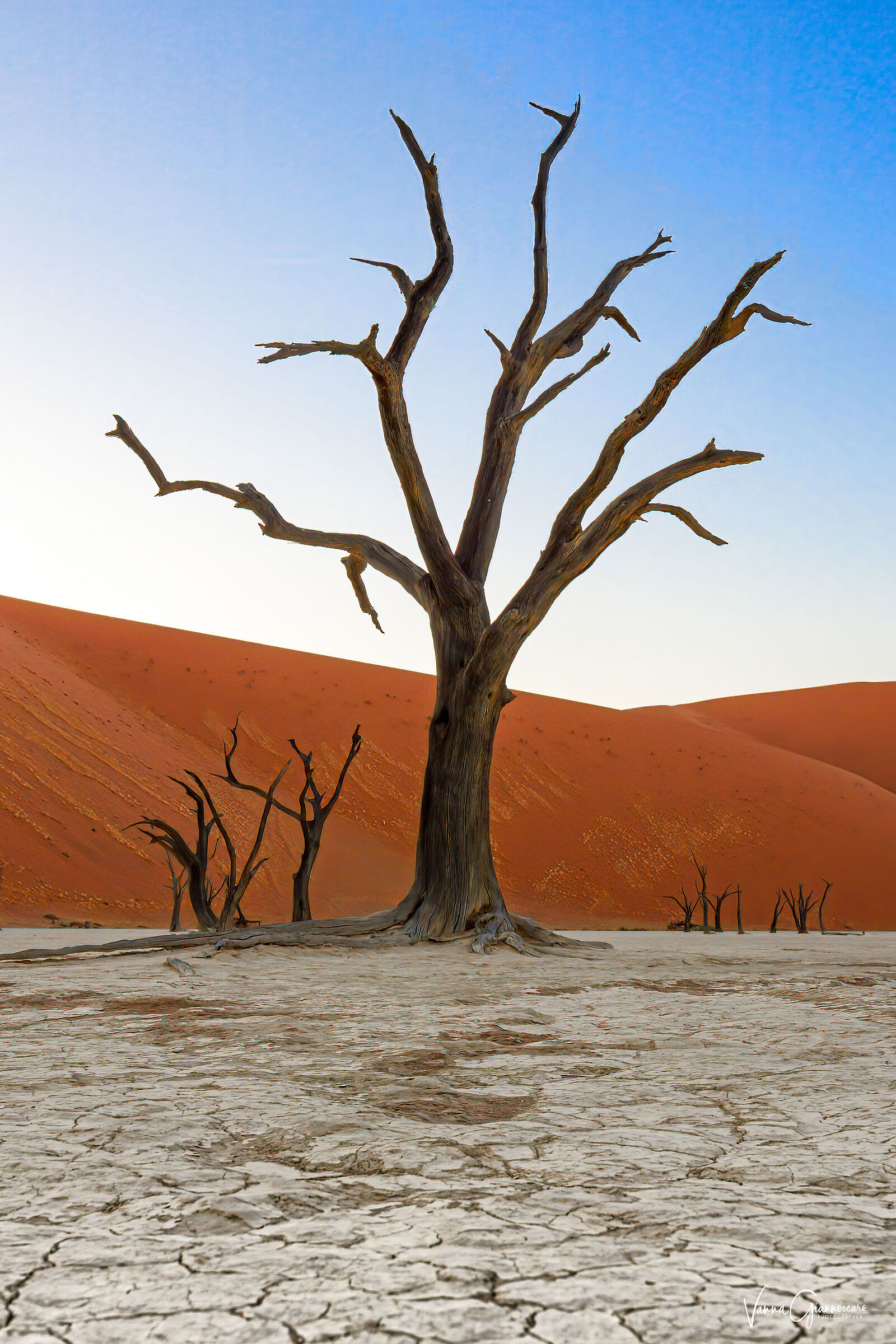 deadvlei