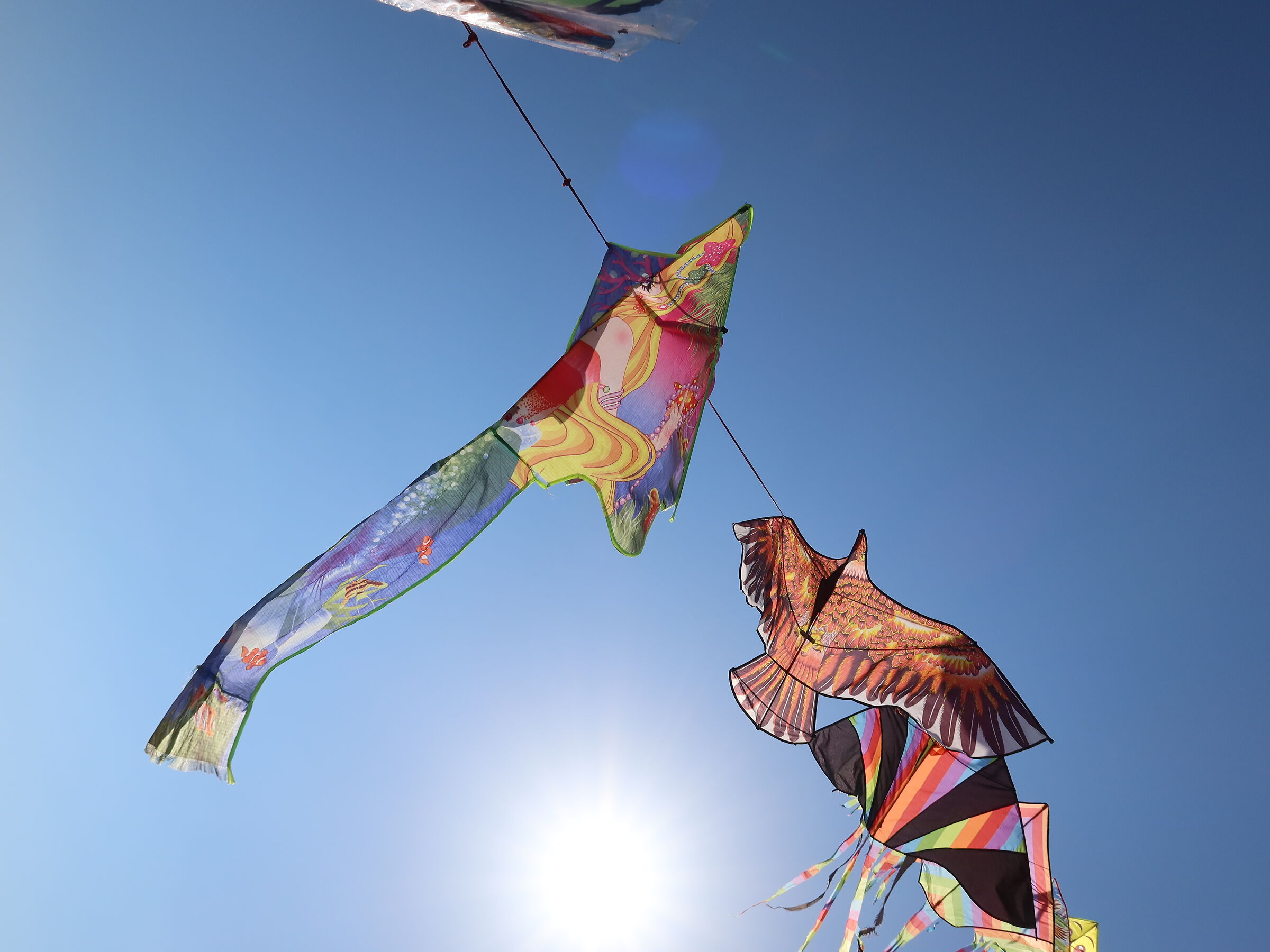 Kites