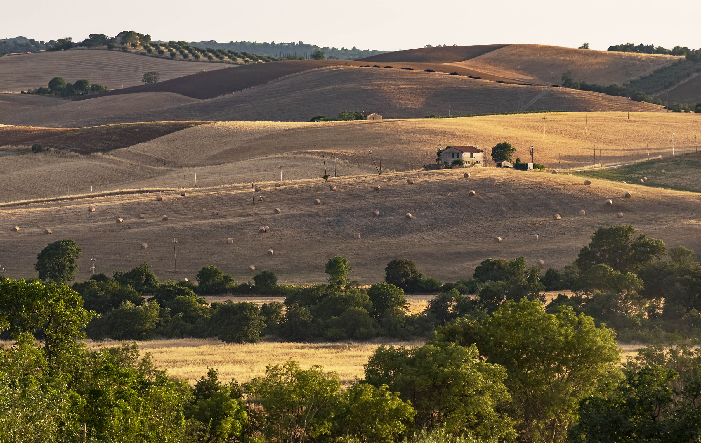 Crete Senesi