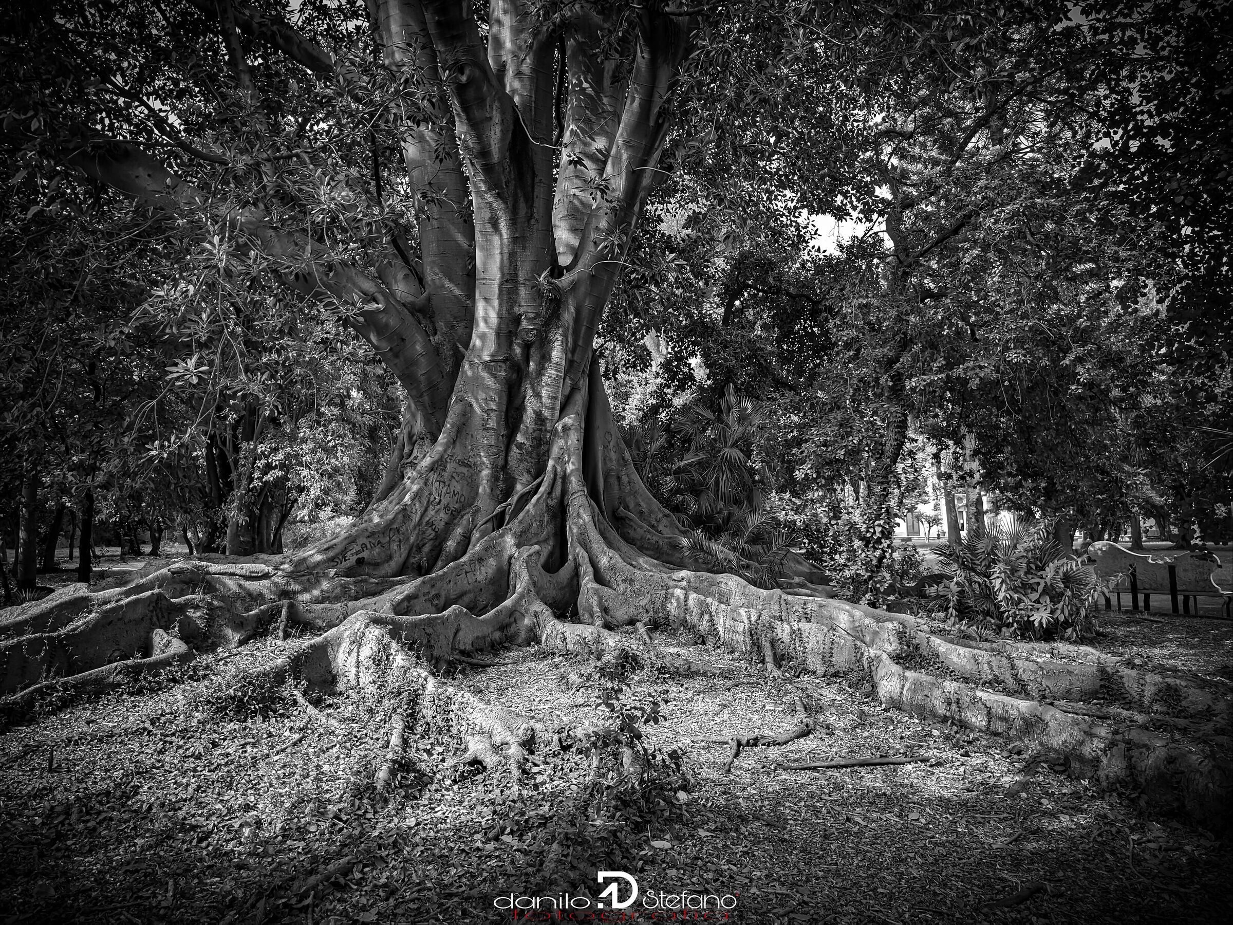 Palermo -: villa Trabia