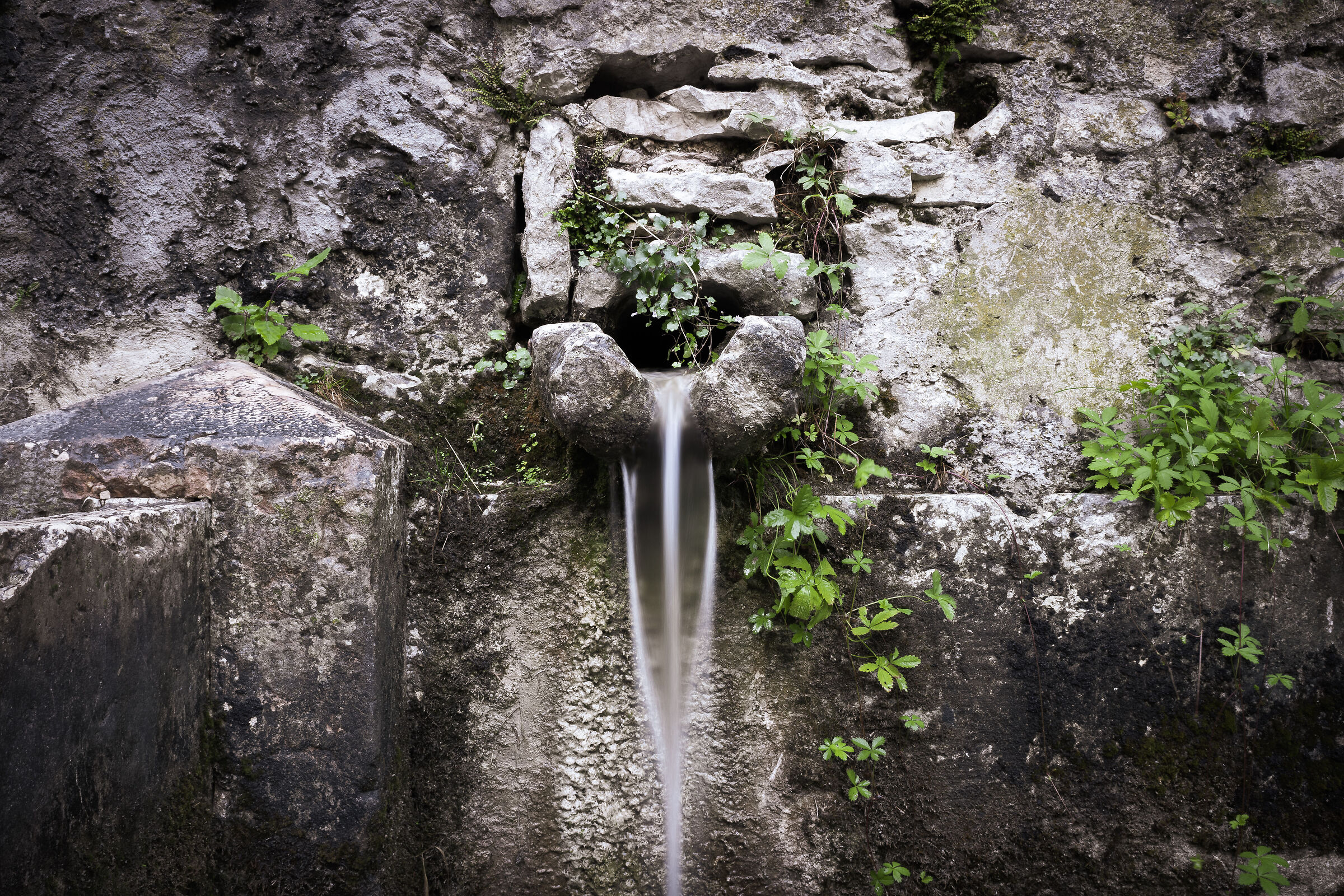 The Fountain of Youth